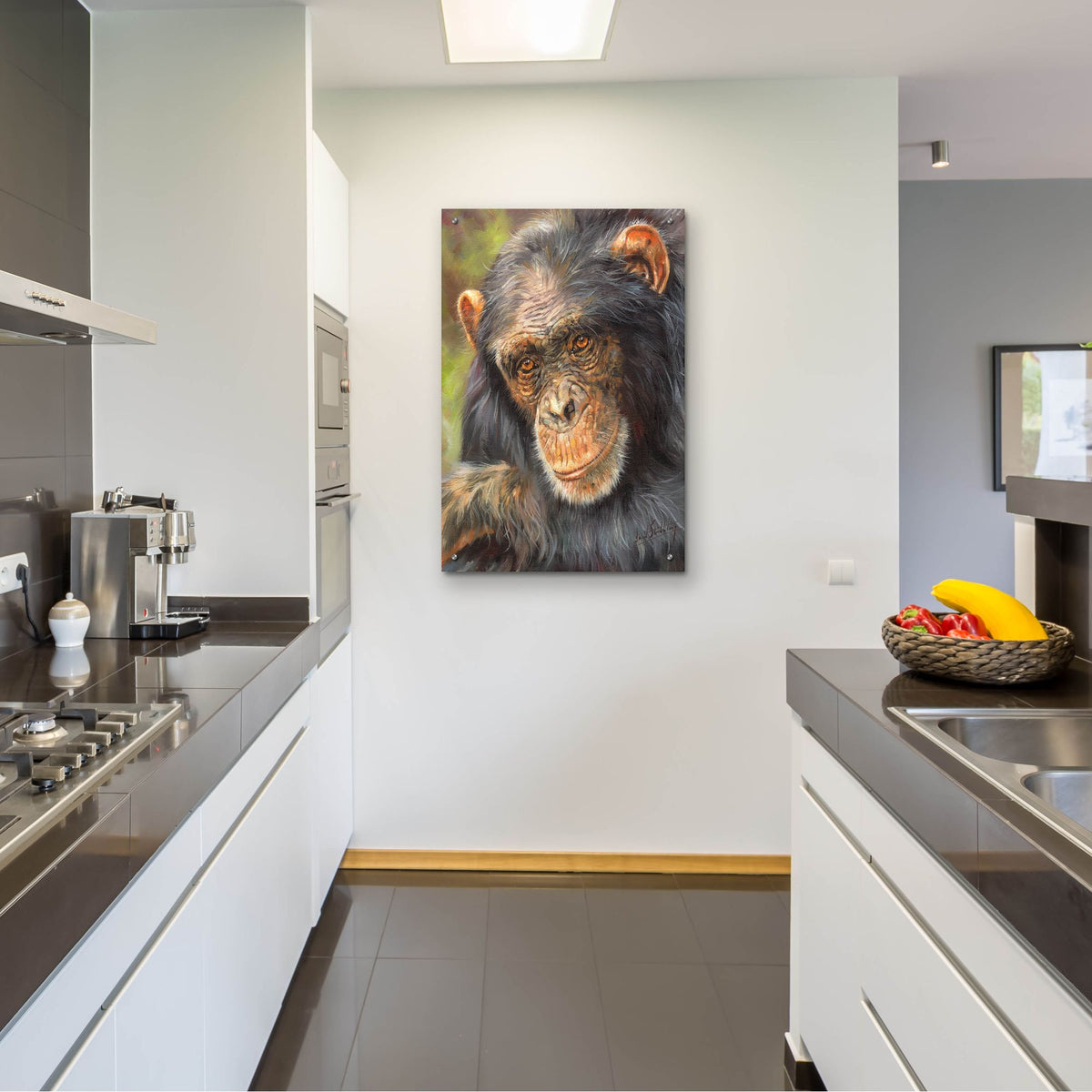 Epic Art 'Chimp The Thinker2 by David Stribbling, Acrylic Glass Wall Art,24x36