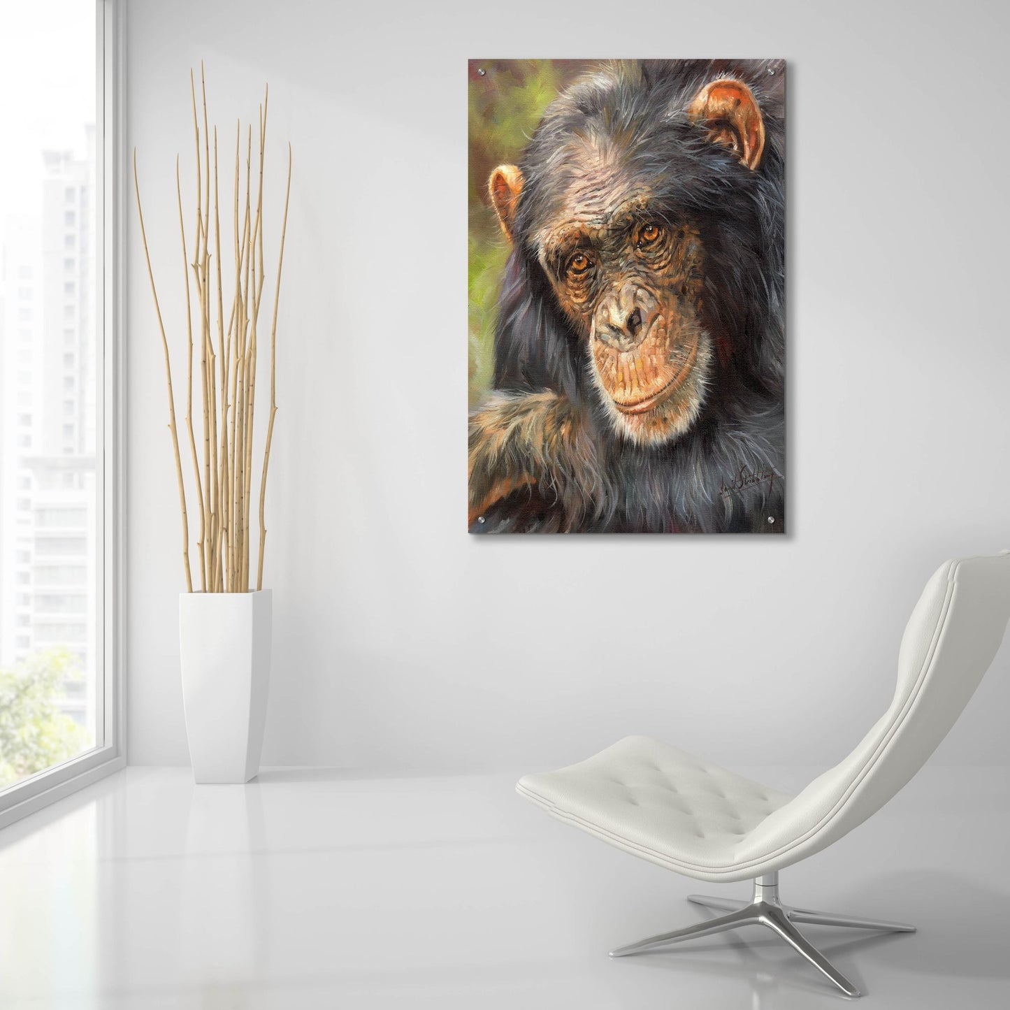 Epic Art 'Chimp The Thinker2 by David Stribbling, Acrylic Glass Wall Art,24x36