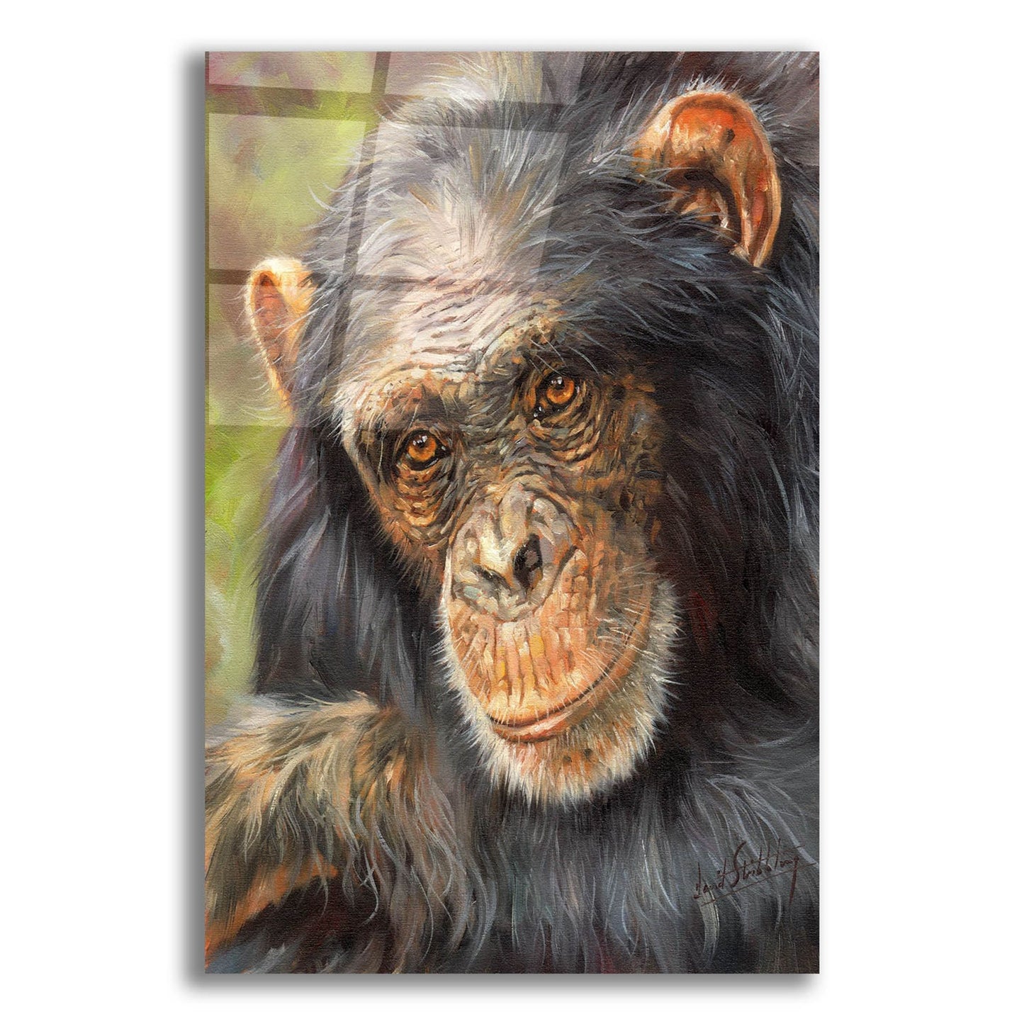 Epic Art 'Chimp The Thinker2 by David Stribbling, Acrylic Glass Wall Art