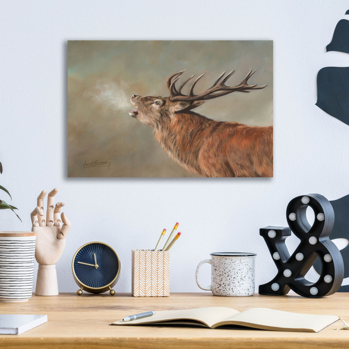 Epic Art 'Red Deer Stag2 by David Stribbling, Acrylic Glass Wall Art,16x12