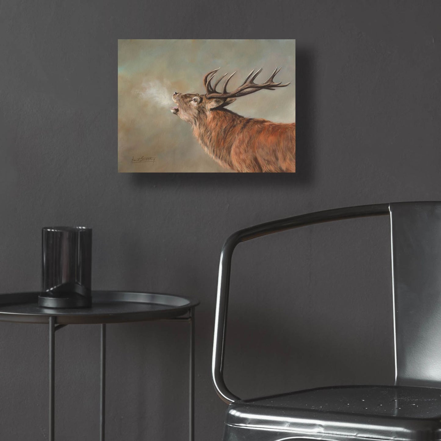 Epic Art 'Red Deer Stag2 by David Stribbling, Acrylic Glass Wall Art,16x12