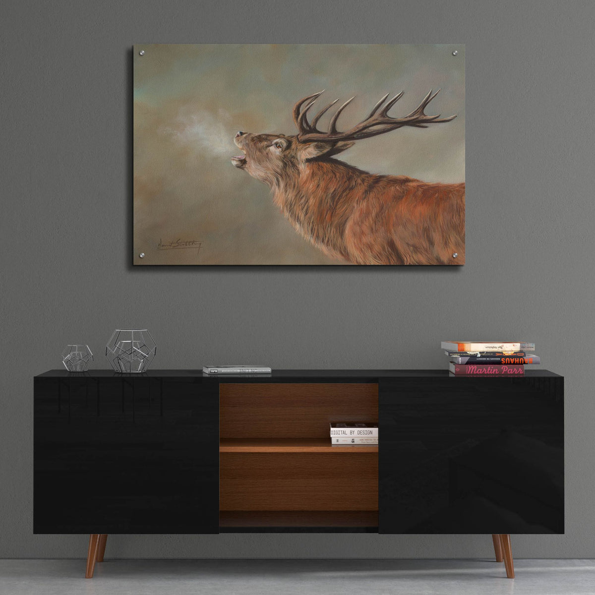 Epic Art 'Red Deer Stag2 by David Stribbling, Acrylic Glass Wall Art,36x24
