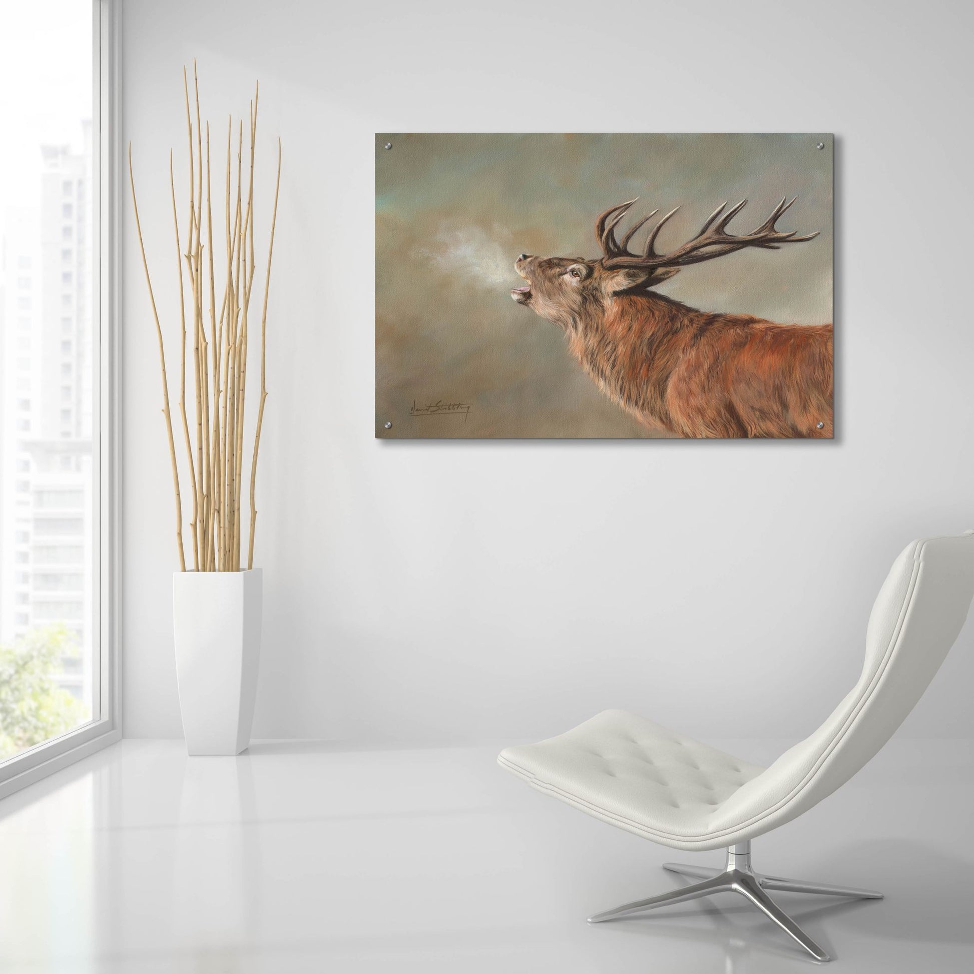 Epic Art 'Red Deer Stag2 by David Stribbling, Acrylic Glass Wall Art,36x24