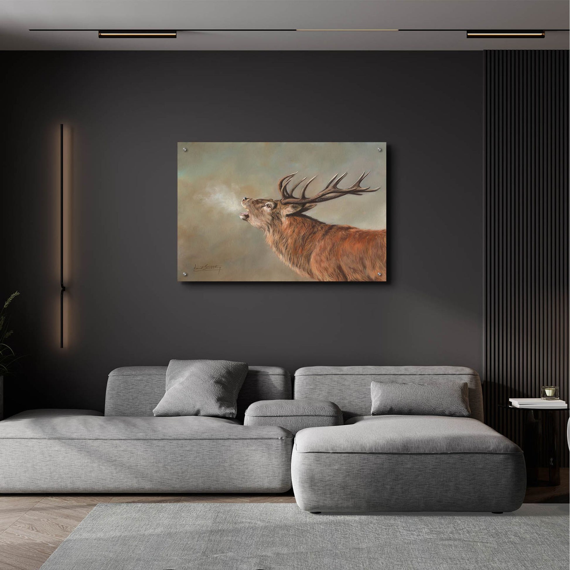 Epic Art 'Red Deer Stag2 by David Stribbling, Acrylic Glass Wall Art,36x24