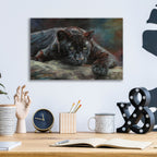 Epic Art 'Black Panther 42 by David Stribbling, Acrylic Glass Wall Art,16x12