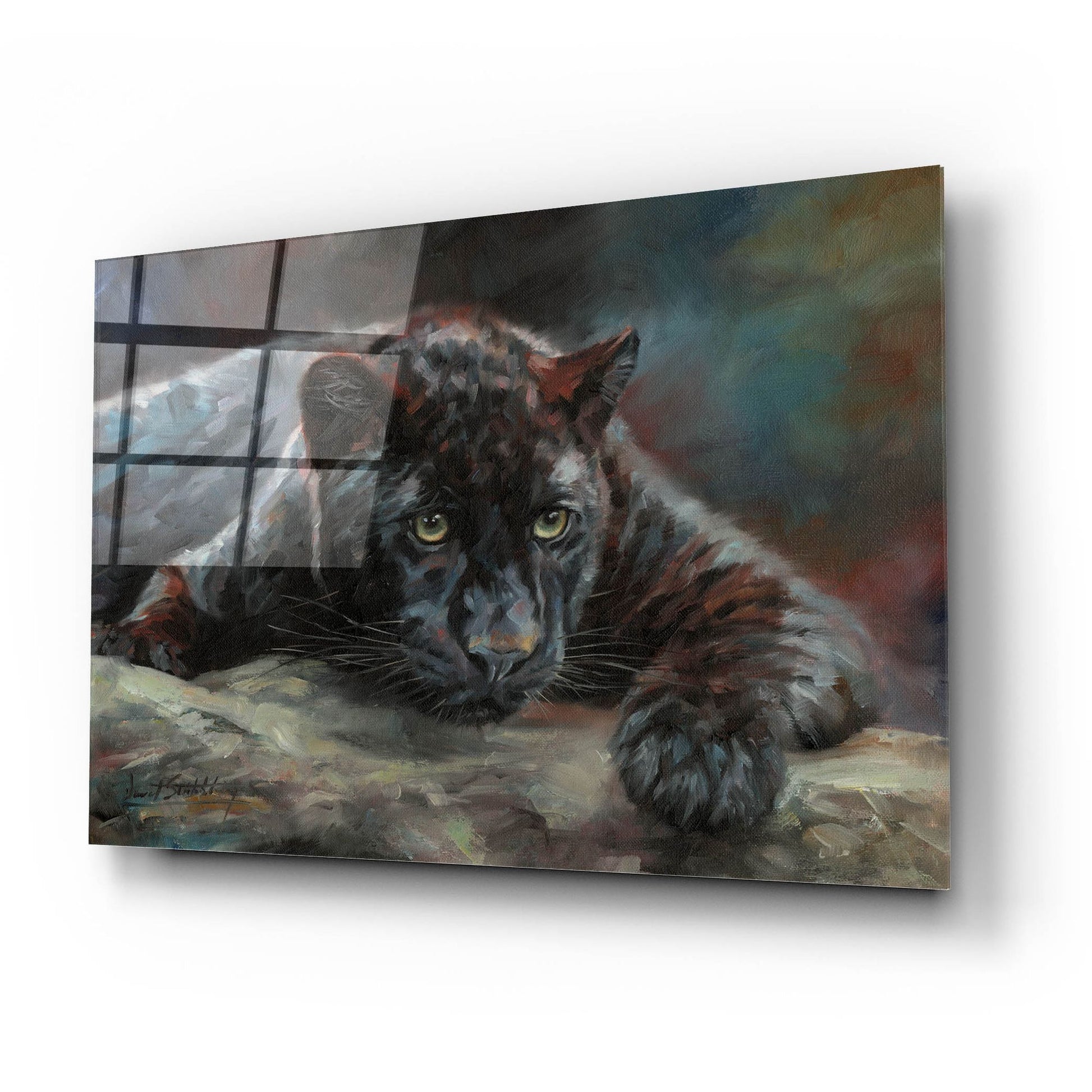 Epic Art 'Black Panther 42 by David Stribbling, Acrylic Glass Wall Art,24x16
