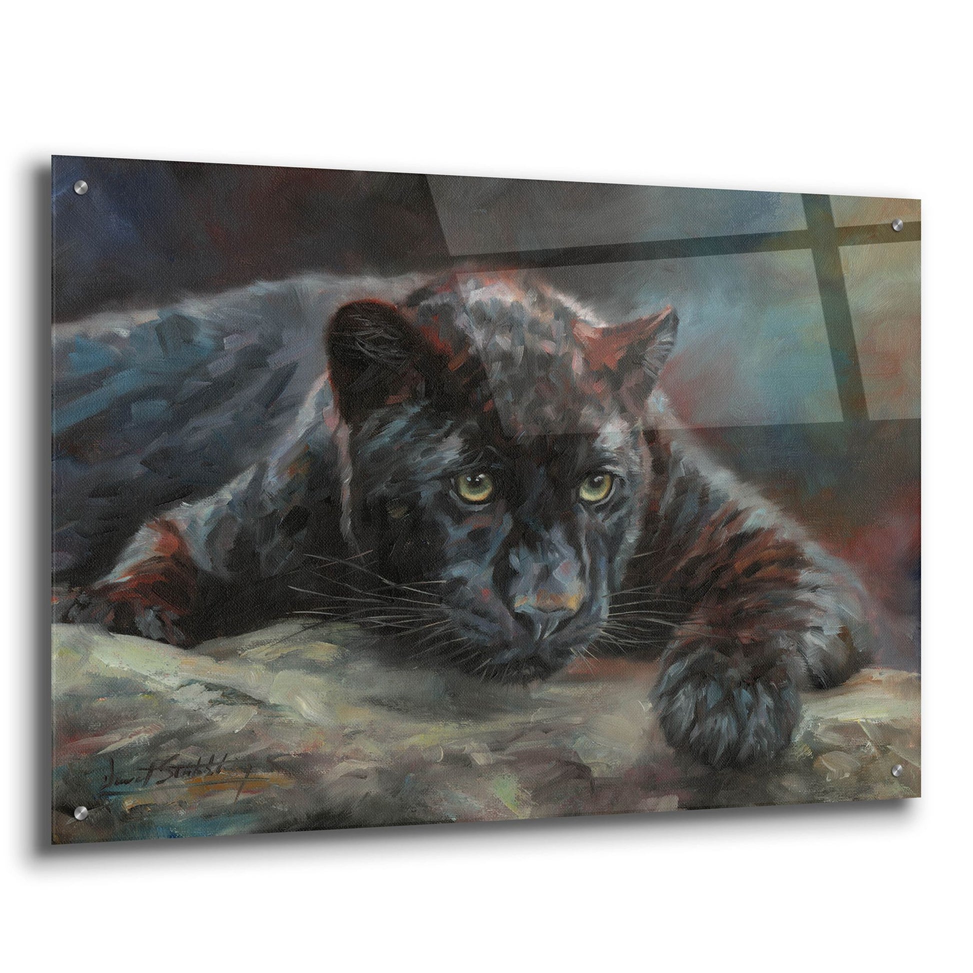 Epic Art 'Black Panther 42 by David Stribbling, Acrylic Glass Wall Art,36x24
