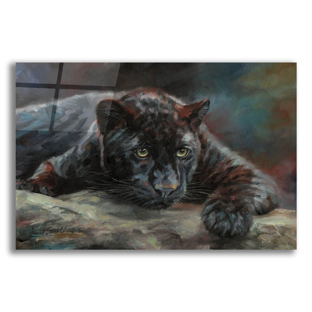 Epic Art 'Black Panther 42 by David Stribbling, Acrylic Glass Wall Art