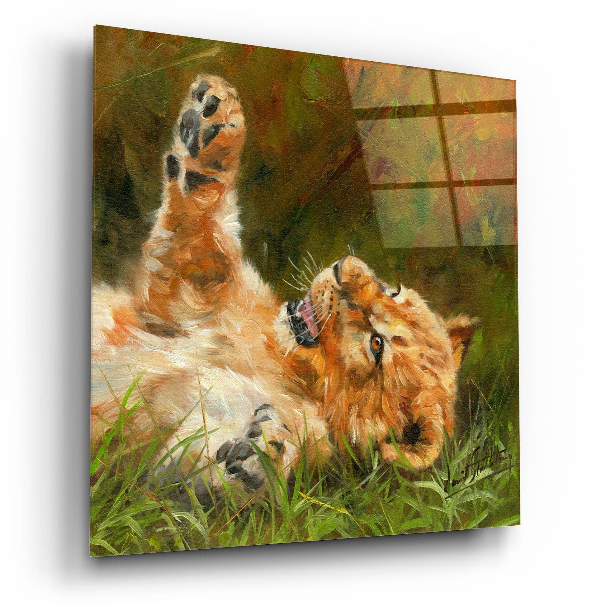 Epic Art 'Lion Cub 10122 by David Stribbling, Acrylic Glass Wall Art,12x12