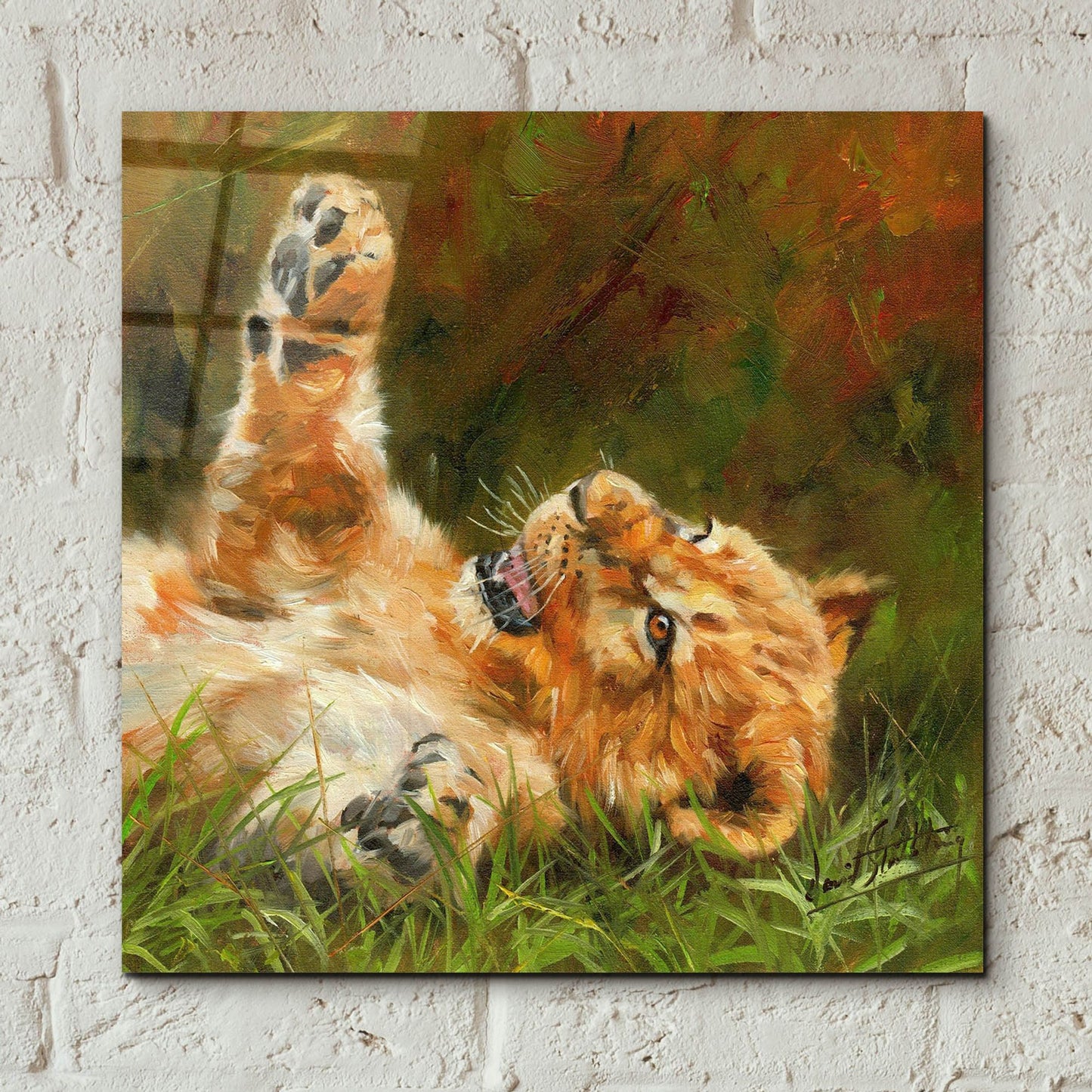 Epic Art 'Lion Cub 10122 by David Stribbling, Acrylic Glass Wall Art,12x12