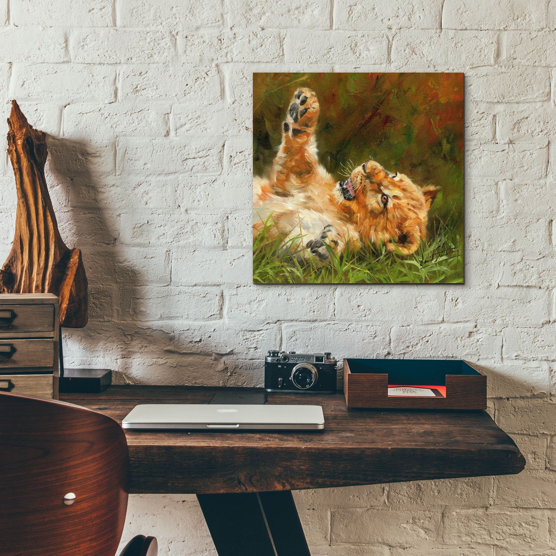 Epic Art 'Lion Cub 10122 by David Stribbling, Acrylic Glass Wall Art,12x12