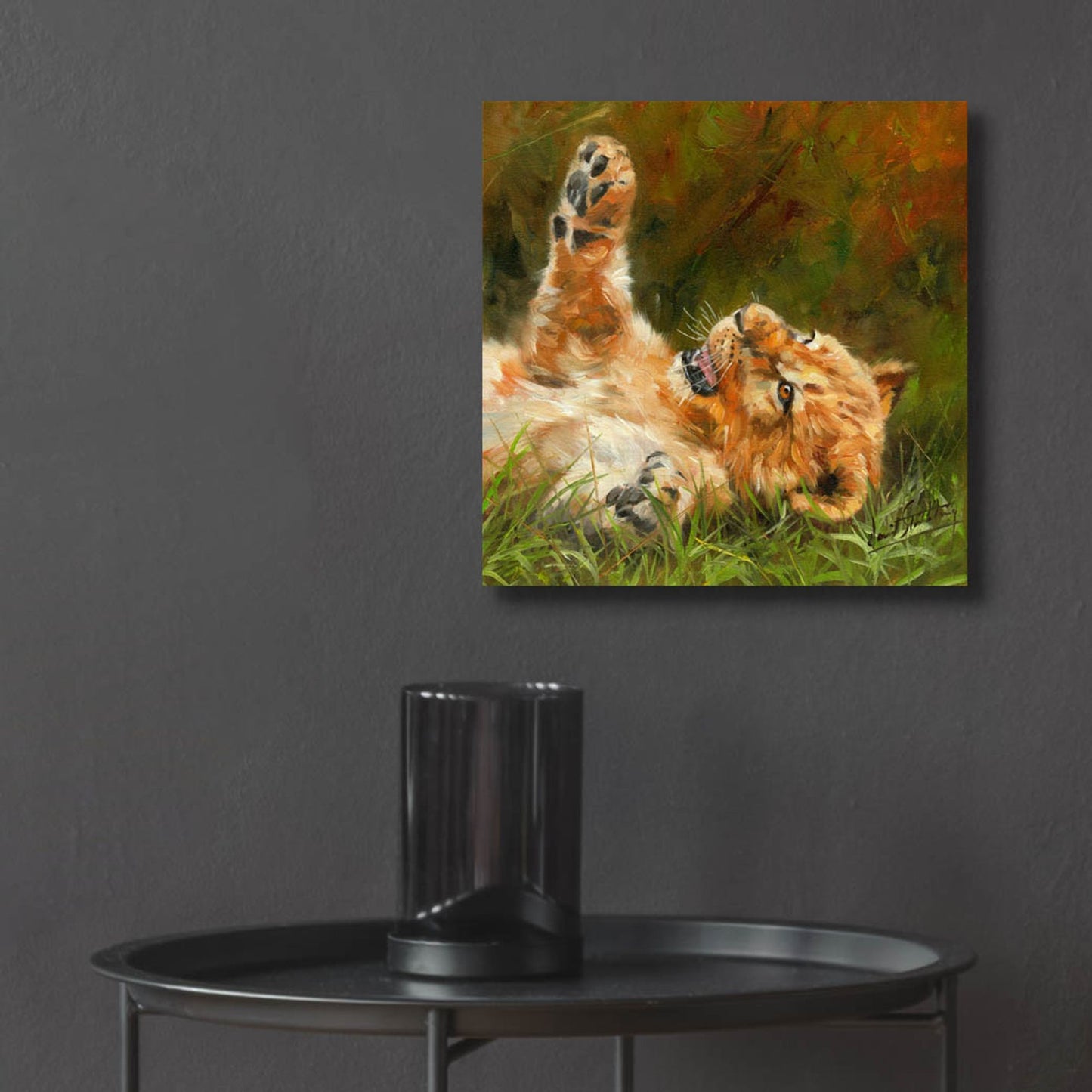 Epic Art 'Lion Cub 10122 by David Stribbling, Acrylic Glass Wall Art,12x12