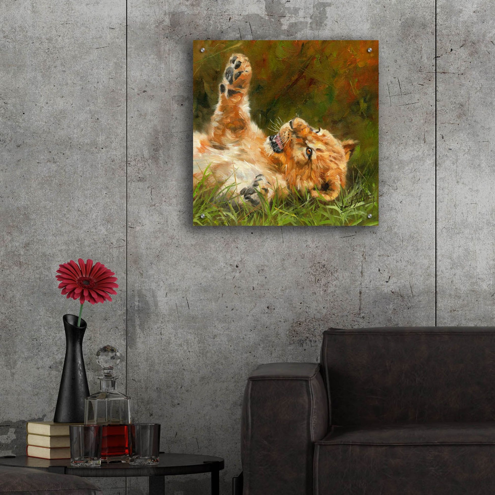 Epic Art 'Lion Cub 10122 by David Stribbling, Acrylic Glass Wall Art,24x24