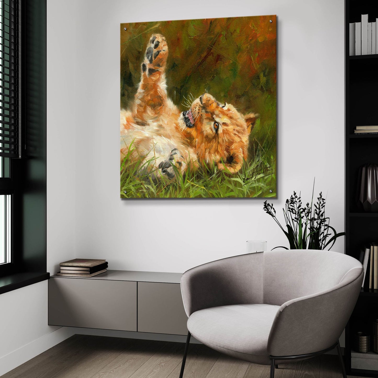 Epic Art 'Lion Cub 10122 by David Stribbling, Acrylic Glass Wall Art,36x36