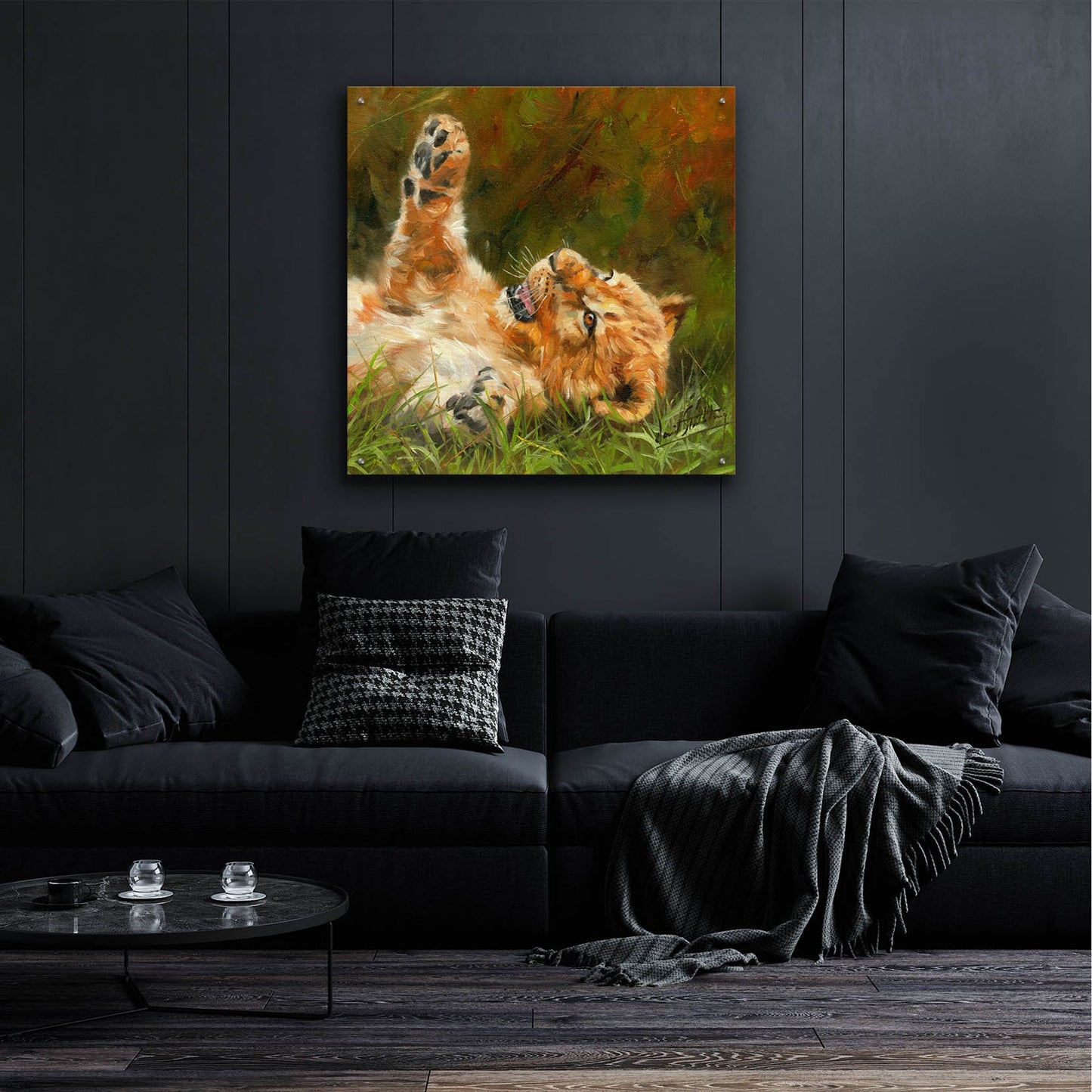 Epic Art 'Lion Cub 10122 by David Stribbling, Acrylic Glass Wall Art,36x36