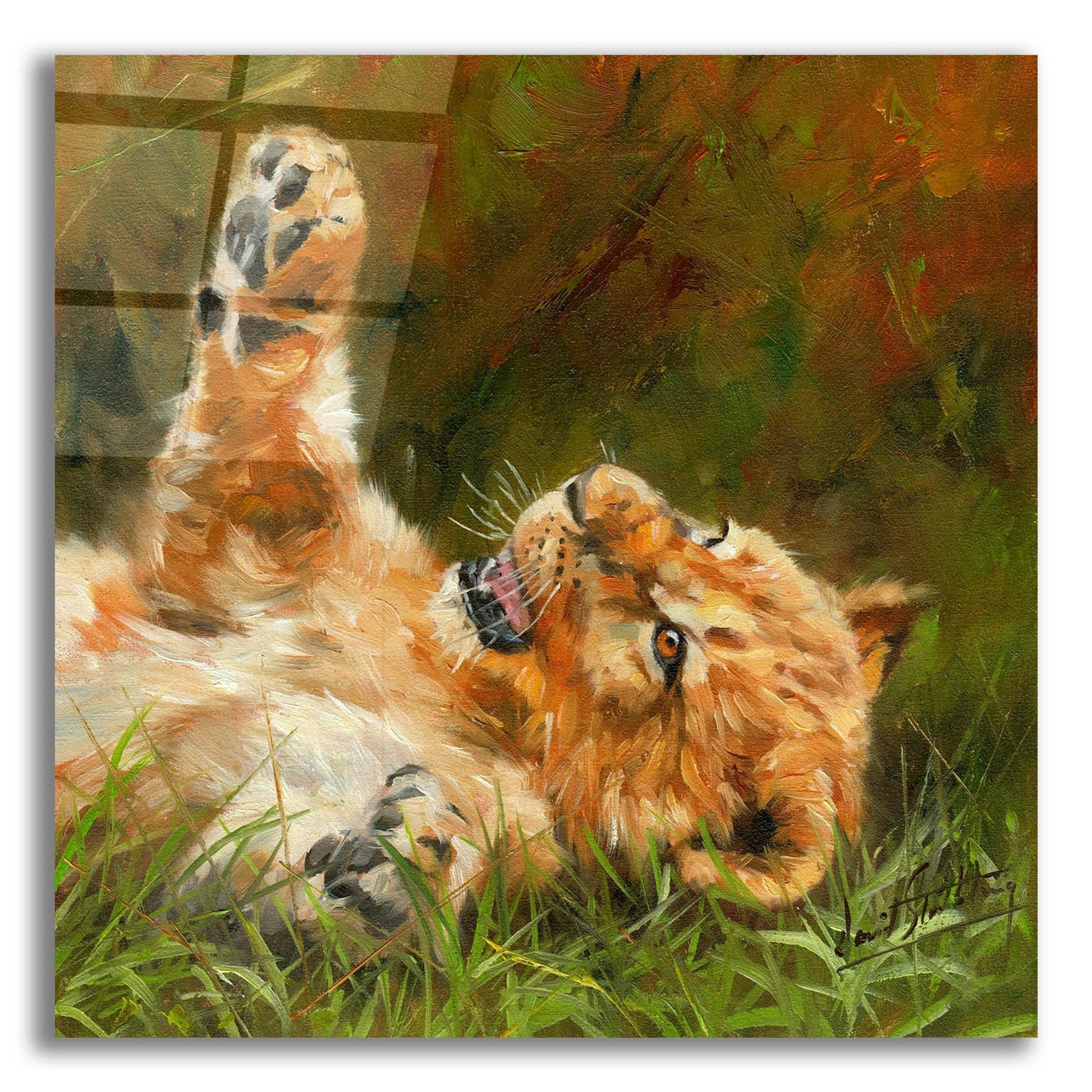 Epic Art 'Lion Cub 10122 by David Stribbling, Acrylic Glass Wall Art