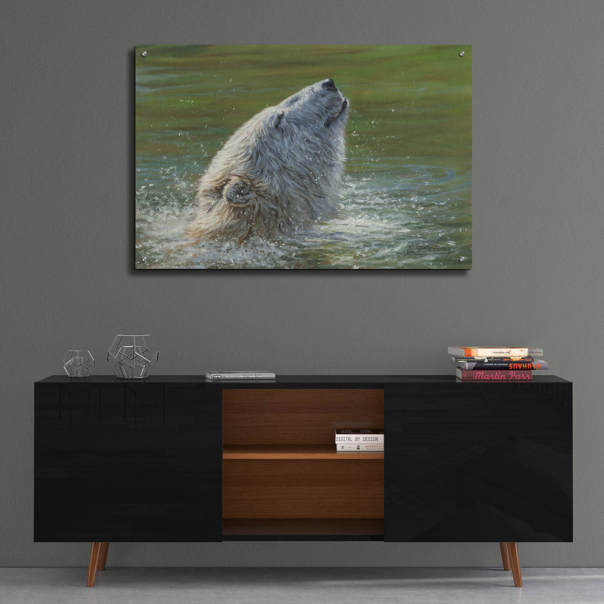 Epic Art 'Polar Bear Splash2 by David Stribbling, Acrylic Glass Wall Art,36x24
