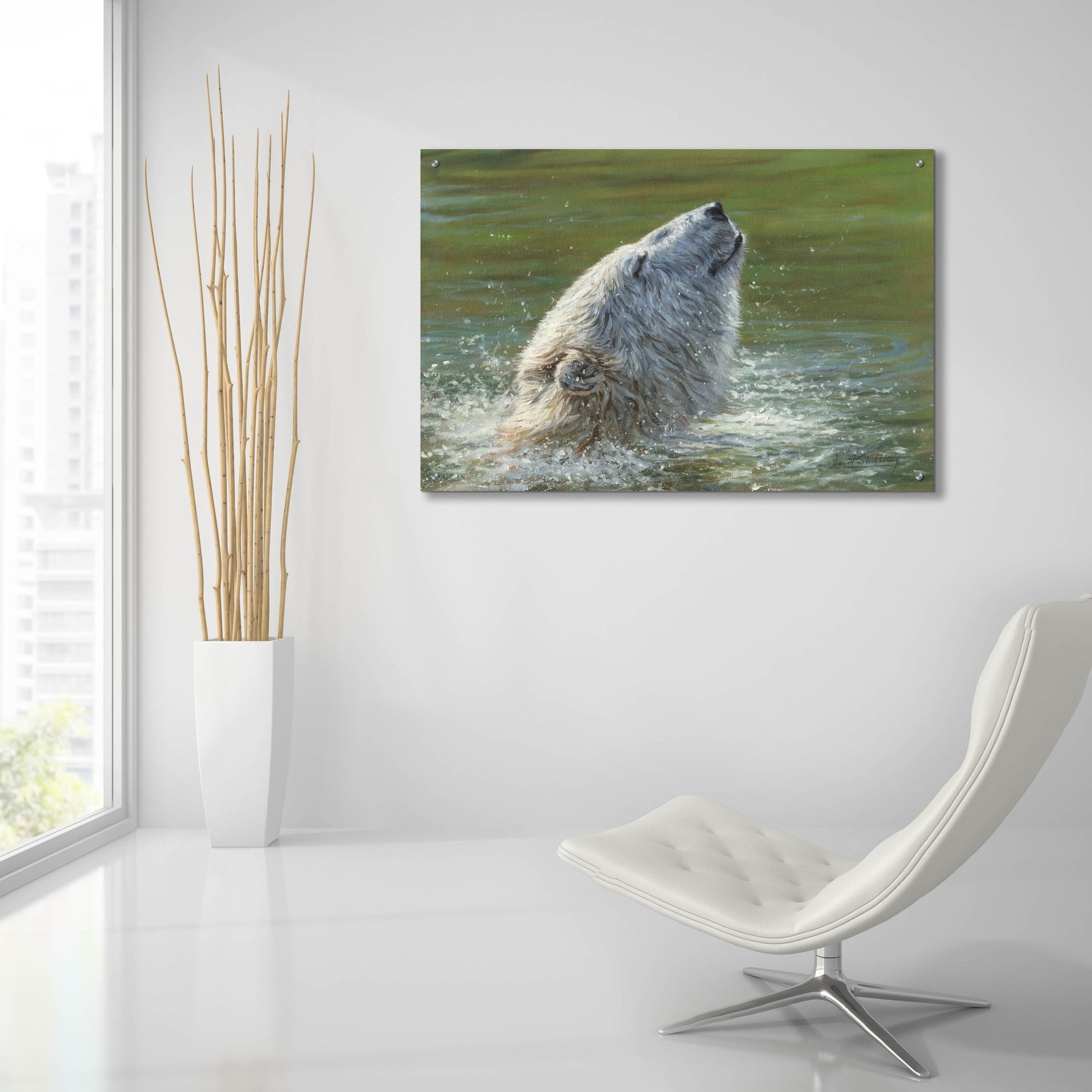 Epic Art 'Polar Bear Splash2 by David Stribbling, Acrylic Glass Wall Art,36x24