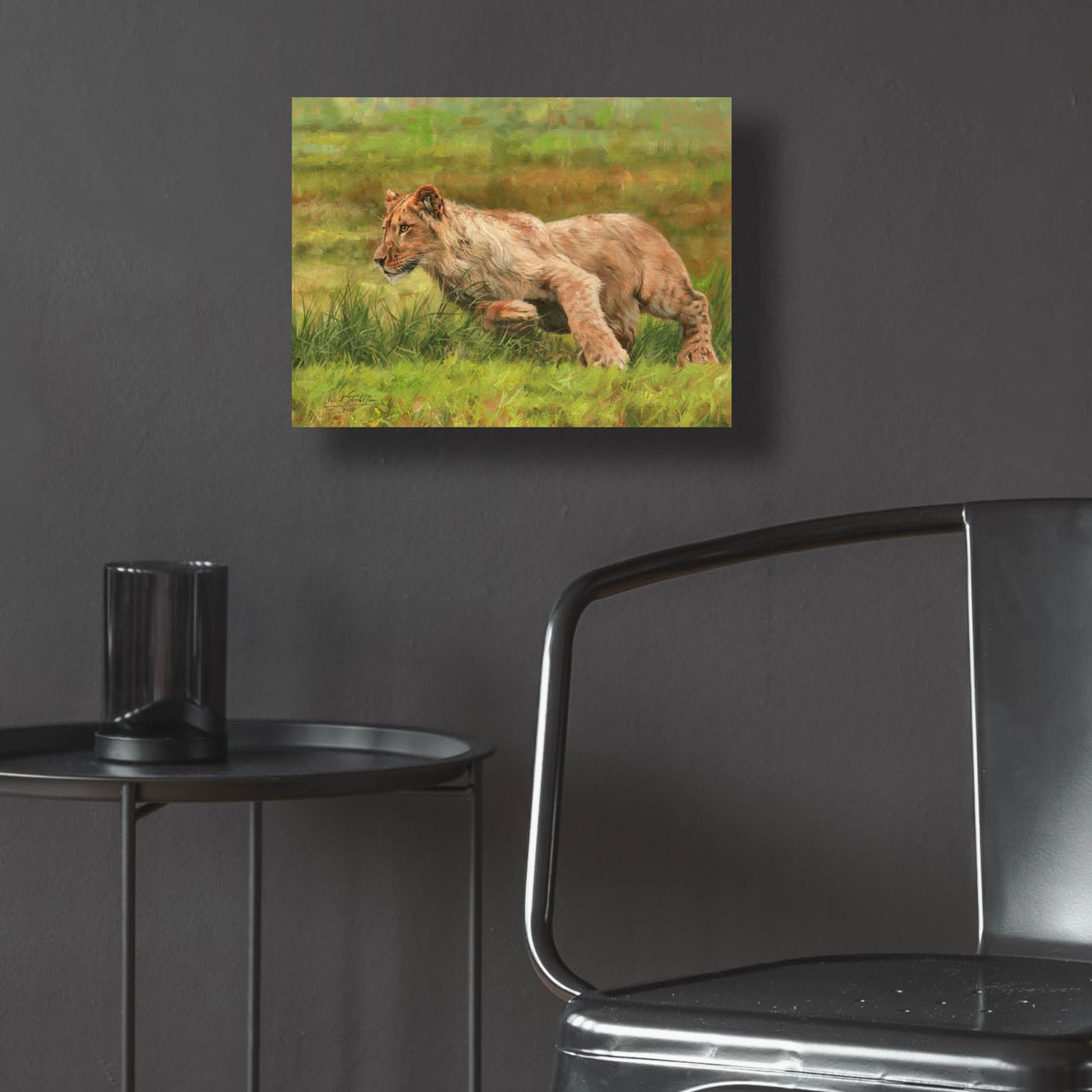 Epic Art 'Young Lion Running2 by David Stribbling, Acrylic Glass Wall Art,16x12