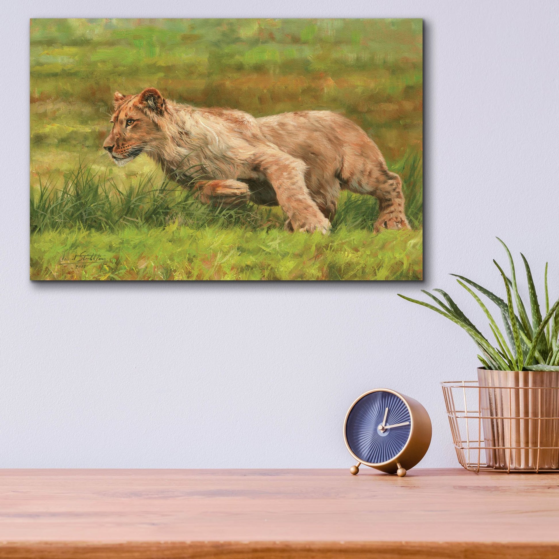 Epic Art 'Young Lion Running2 by David Stribbling, Acrylic Glass Wall Art,16x12