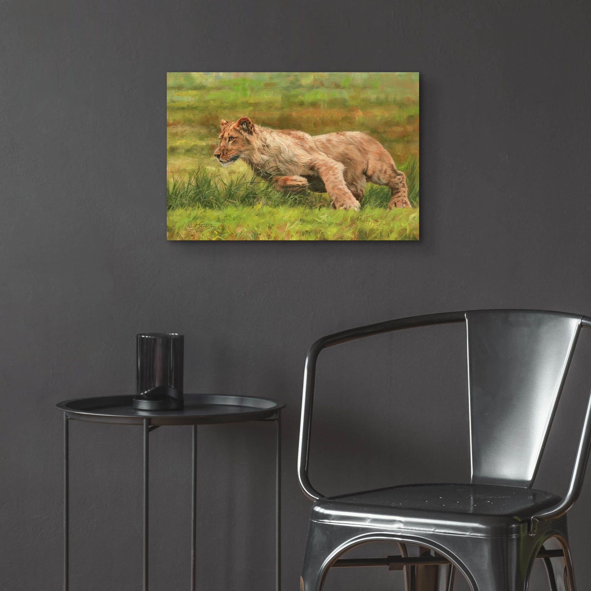 Epic Art 'Young Lion Running2 by David Stribbling, Acrylic Glass Wall Art,24x16