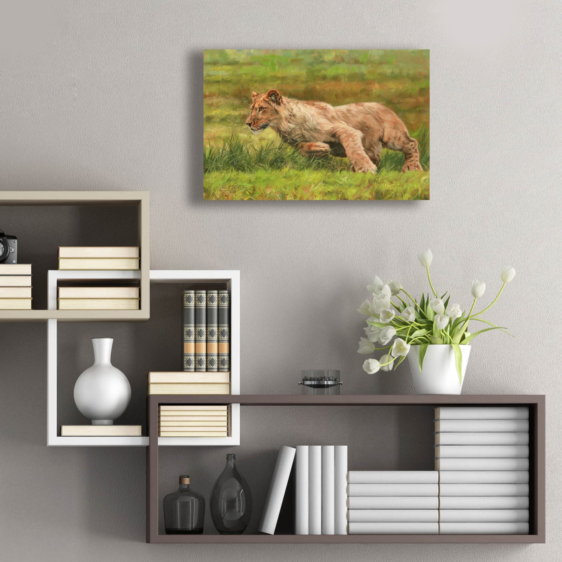 Epic Art 'Young Lion Running2 by David Stribbling, Acrylic Glass Wall Art,24x16