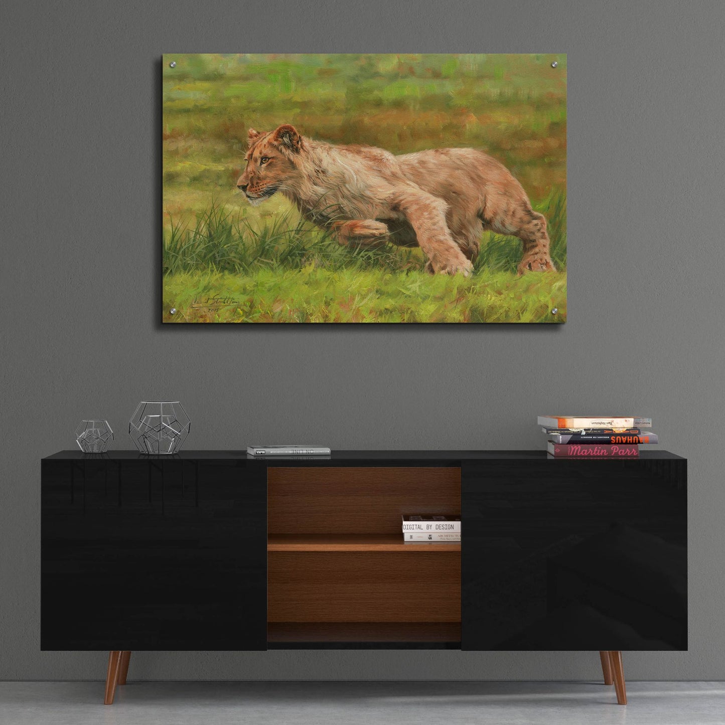 Epic Art 'Young Lion Running2 by David Stribbling, Acrylic Glass Wall Art,36x24