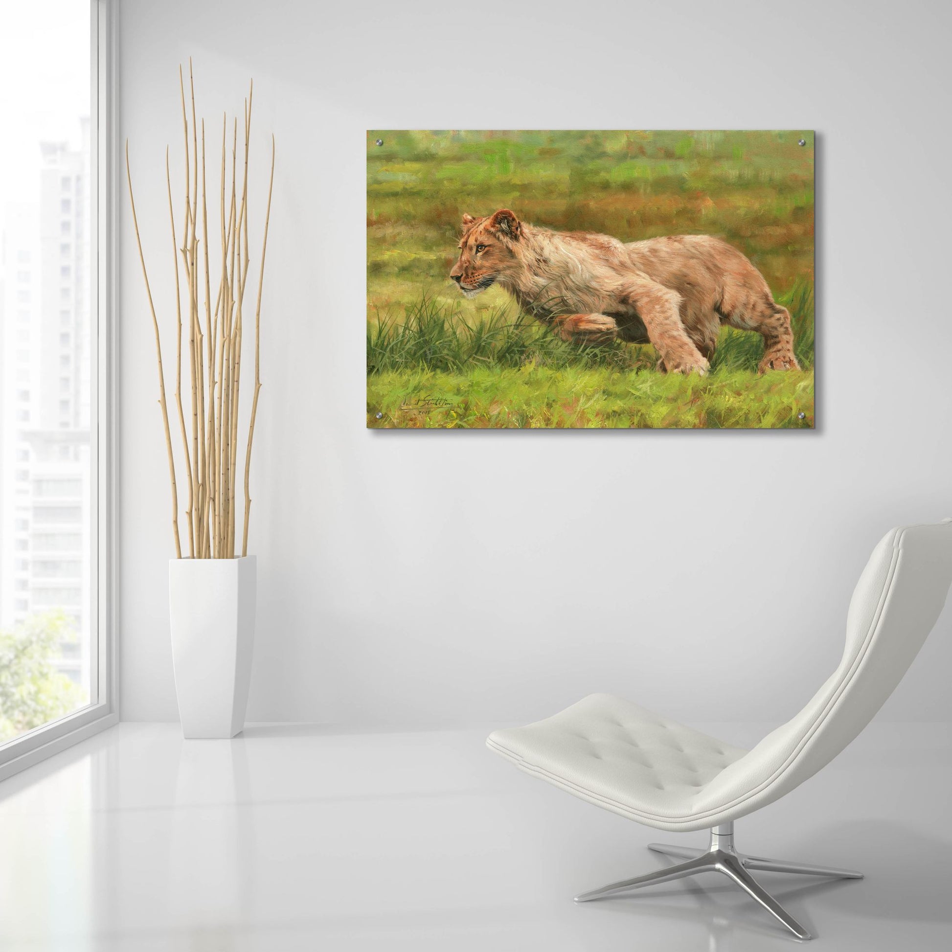 Epic Art 'Young Lion Running2 by David Stribbling, Acrylic Glass Wall Art,36x24