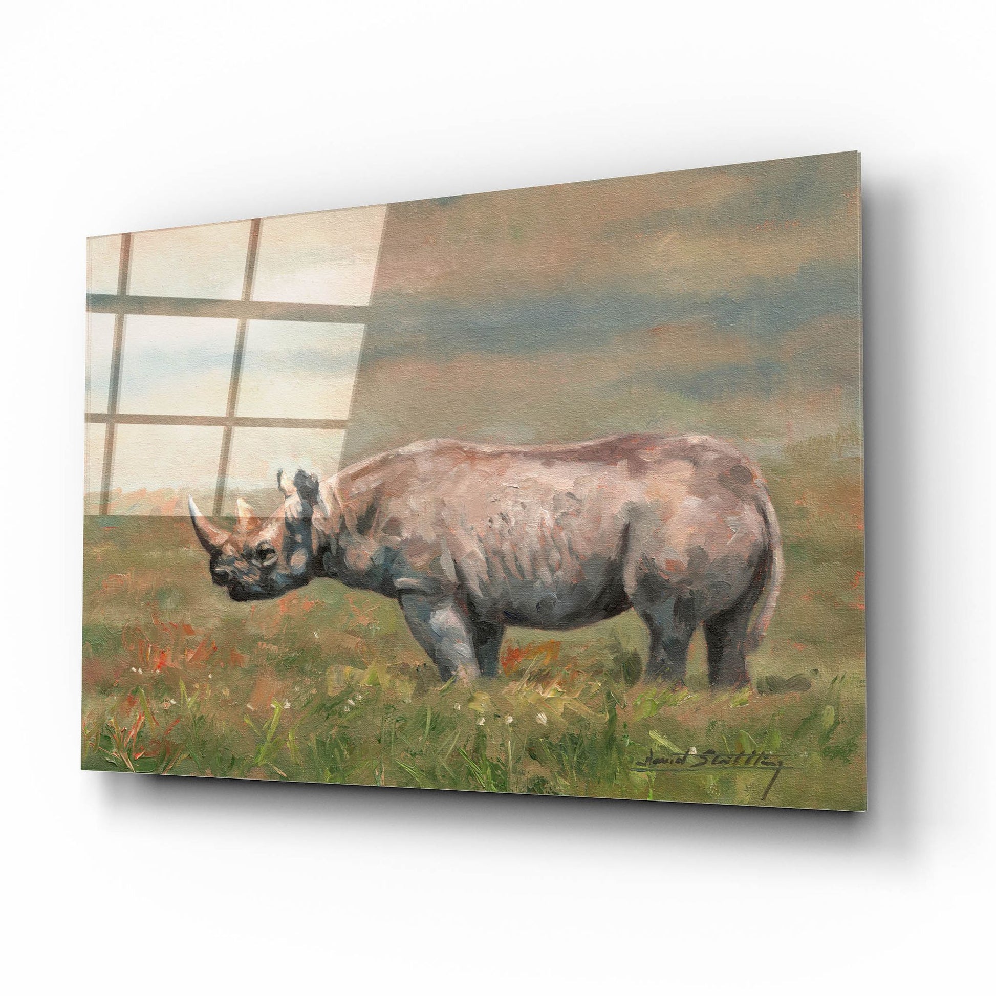 Epic Art 'Black Rhino2 by David Stribbling, Acrylic Glass Wall Art,16x12