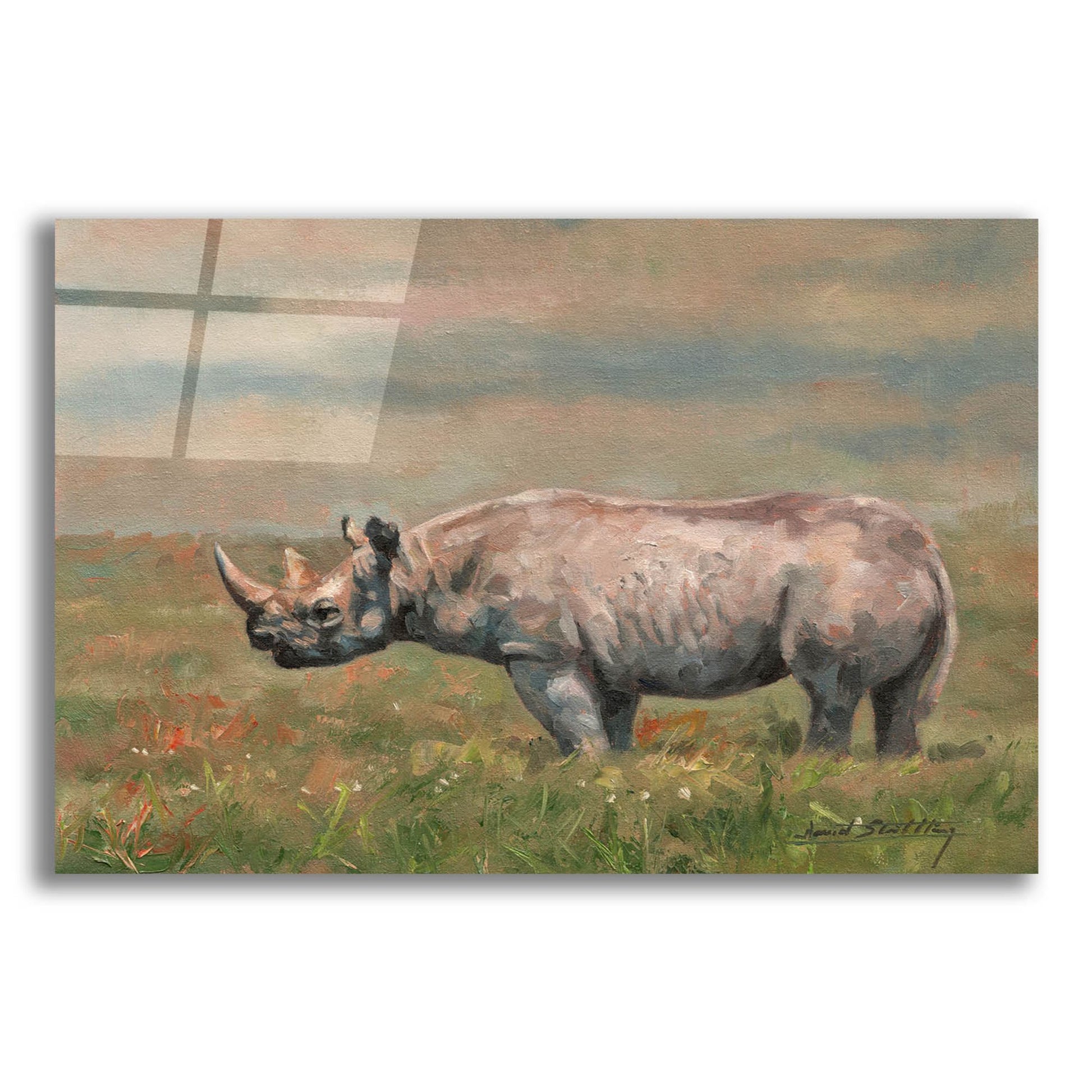 Epic Art 'Black Rhino2 by David Stribbling, Acrylic Glass Wall Art,24x16