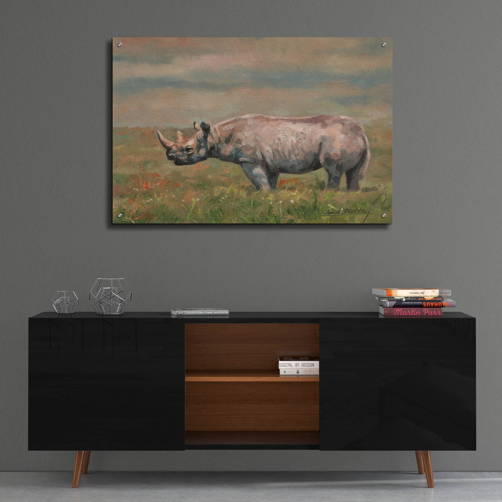 Epic Art 'Black Rhino2 by David Stribbling, Acrylic Glass Wall Art,36x24