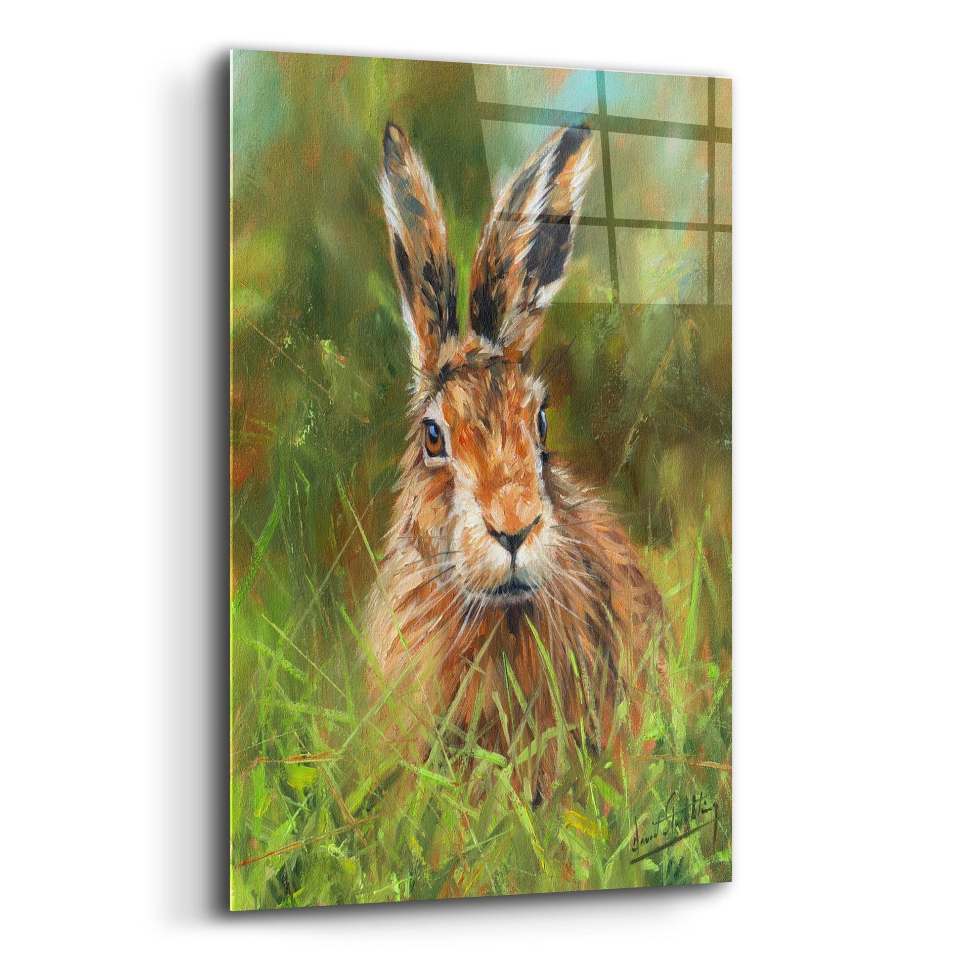 Epic Art 'Hare 22 by David Stribbling, Acrylic Glass Wall Art,12x16