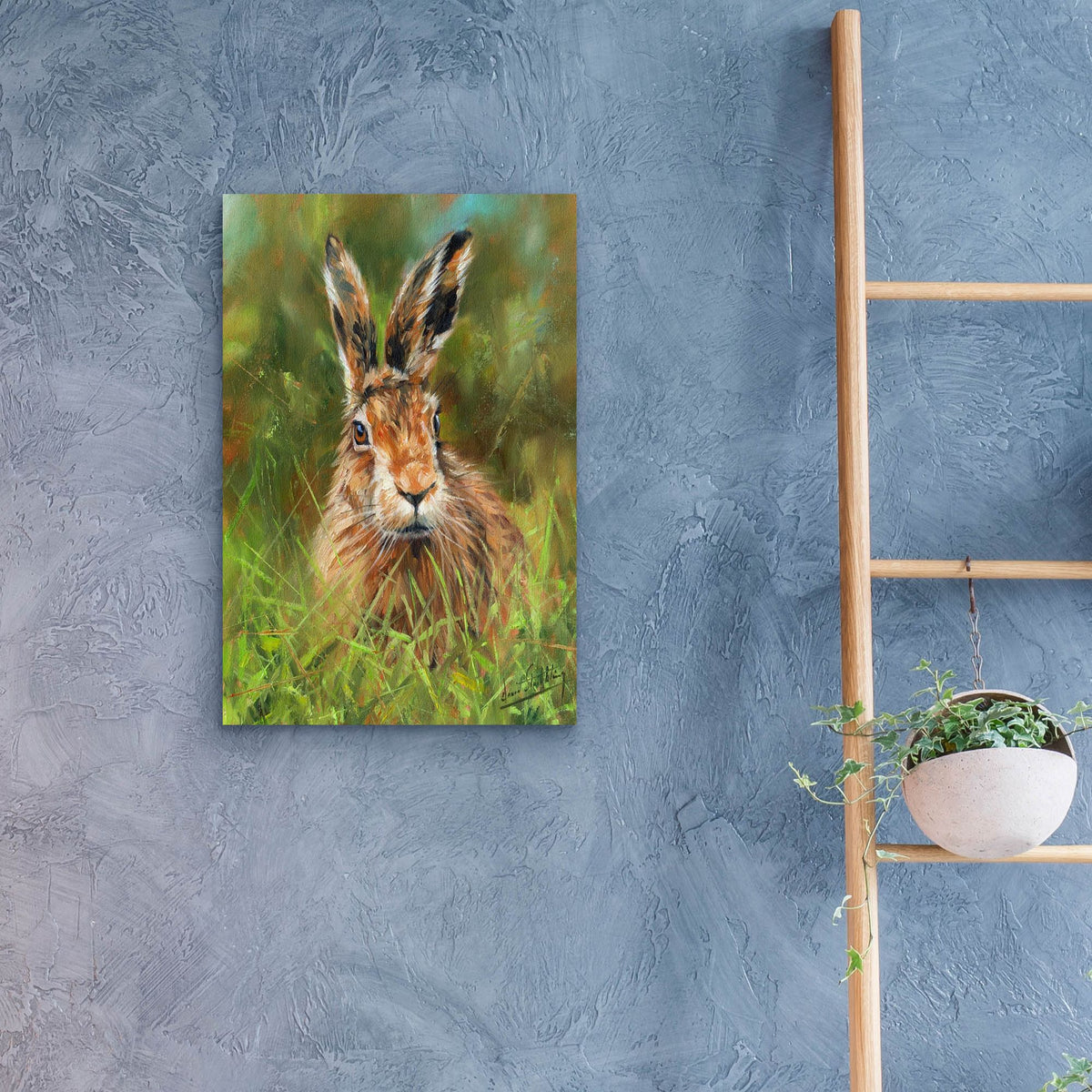 Epic Art 'Hare 22 by David Stribbling, Acrylic Glass Wall Art,16x24