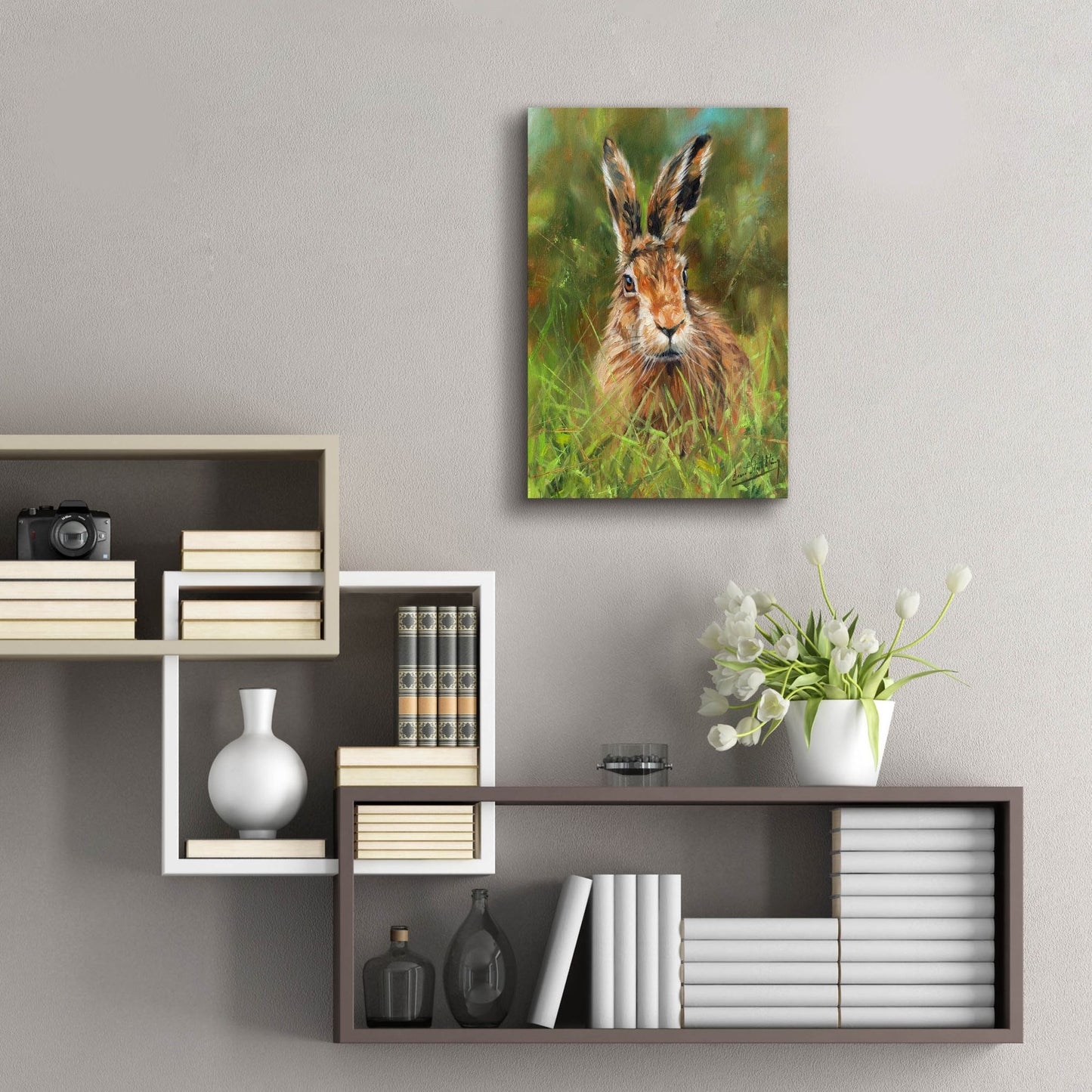 Epic Art 'Hare 22 by David Stribbling, Acrylic Glass Wall Art,16x24