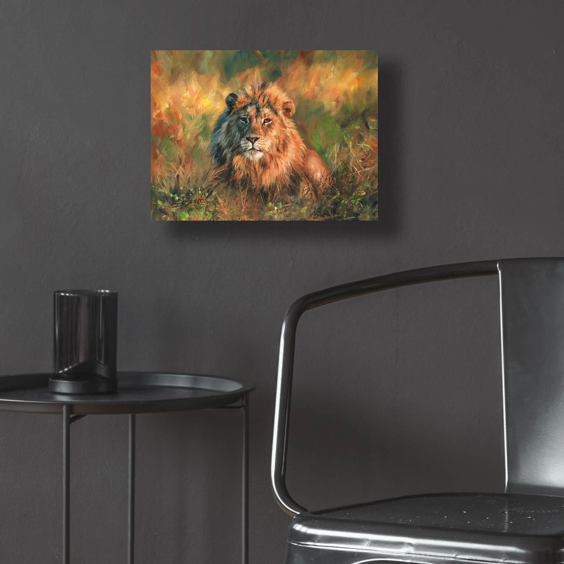 Epic Art 'Lion At Sunset2 by David Stribbling, Acrylic Glass Wall Art,16x12