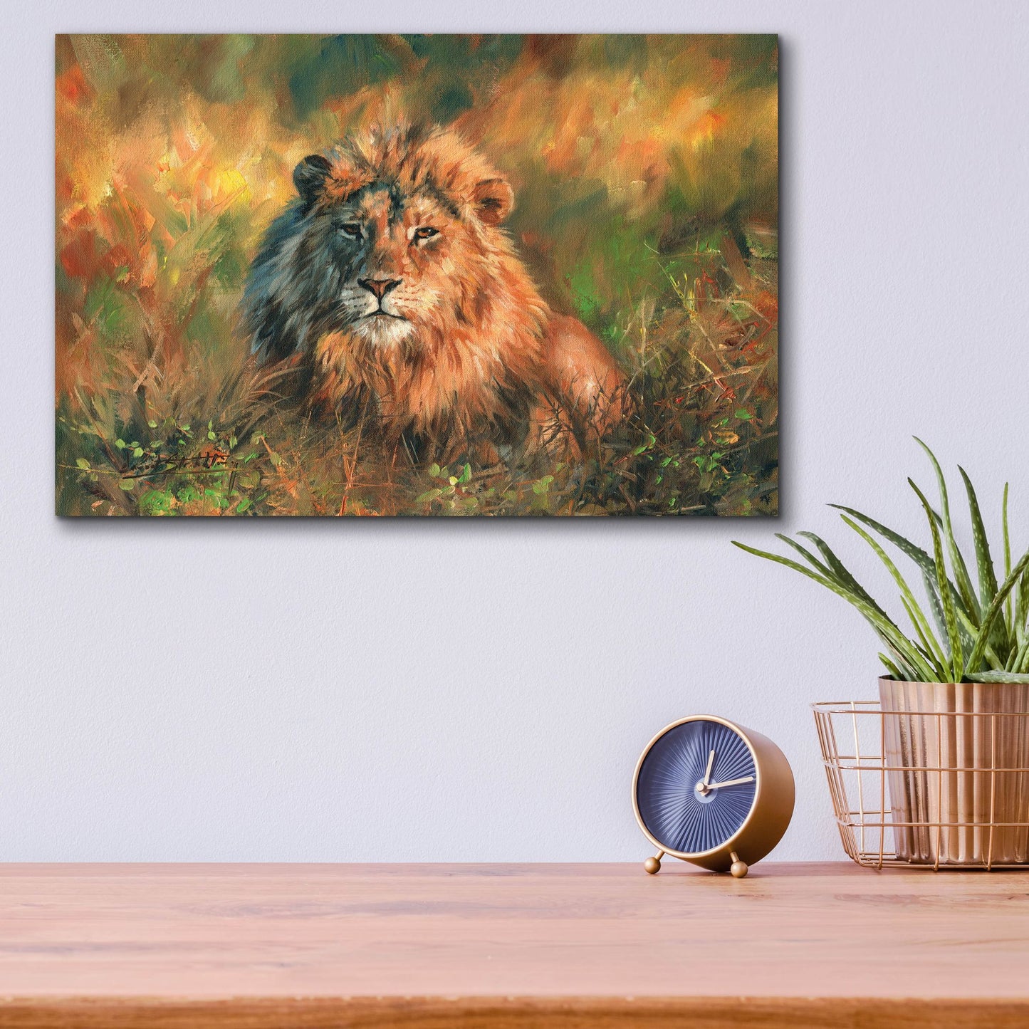 Epic Art 'Lion At Sunset2 by David Stribbling, Acrylic Glass Wall Art,16x12