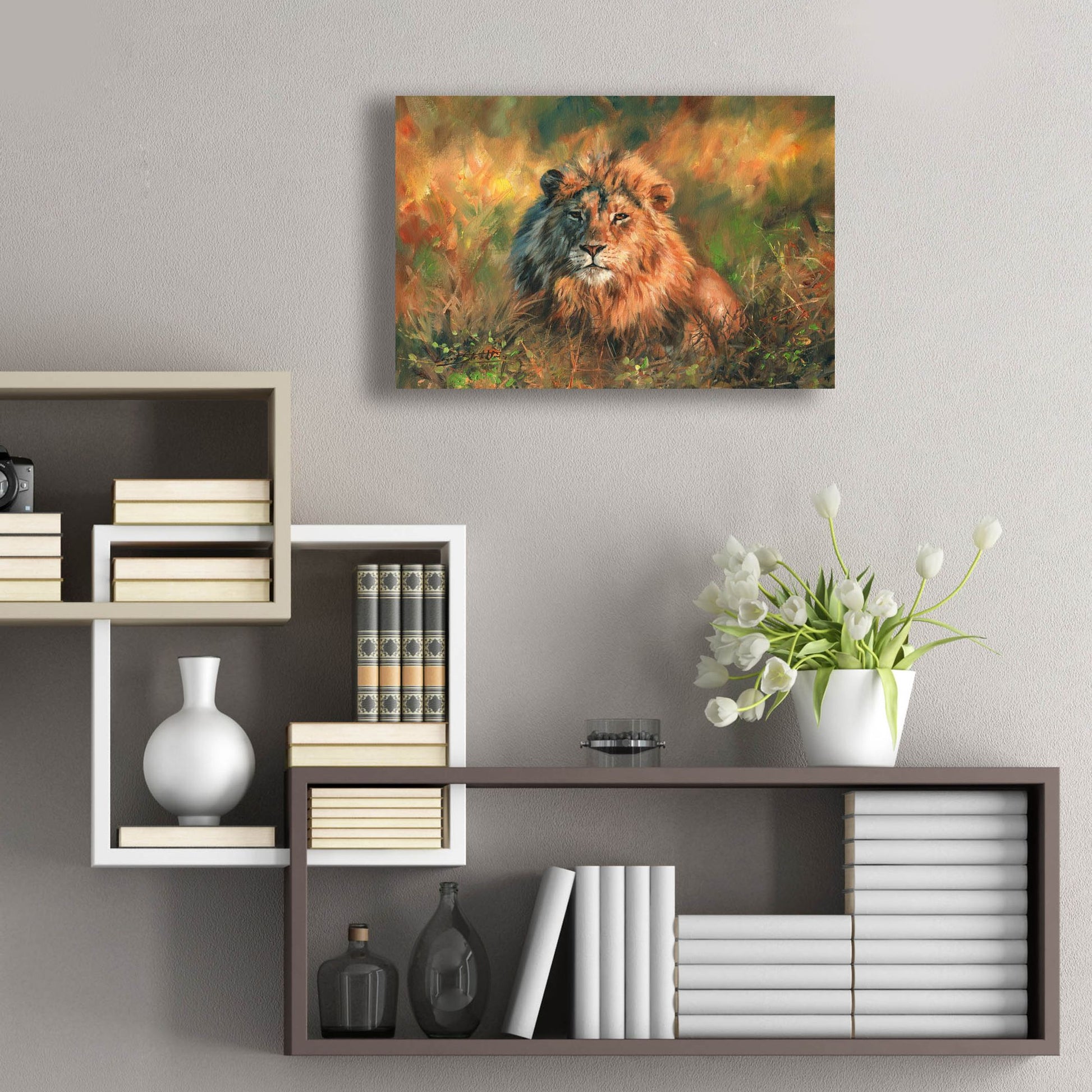 Epic Art 'Lion At Sunset2 by David Stribbling, Acrylic Glass Wall Art,24x16