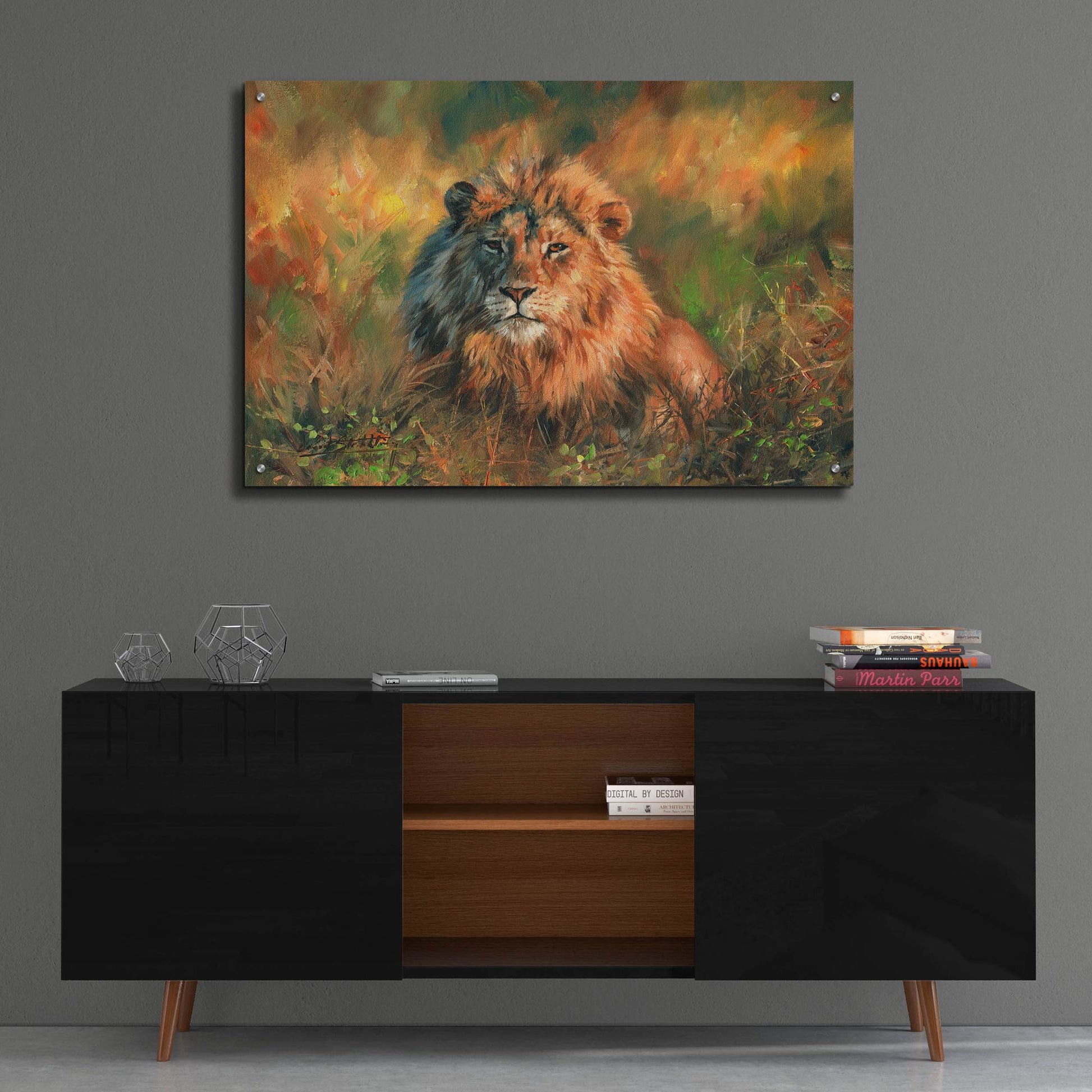 Epic Art 'Lion At Sunset2 by David Stribbling, Acrylic Glass Wall Art,36x24