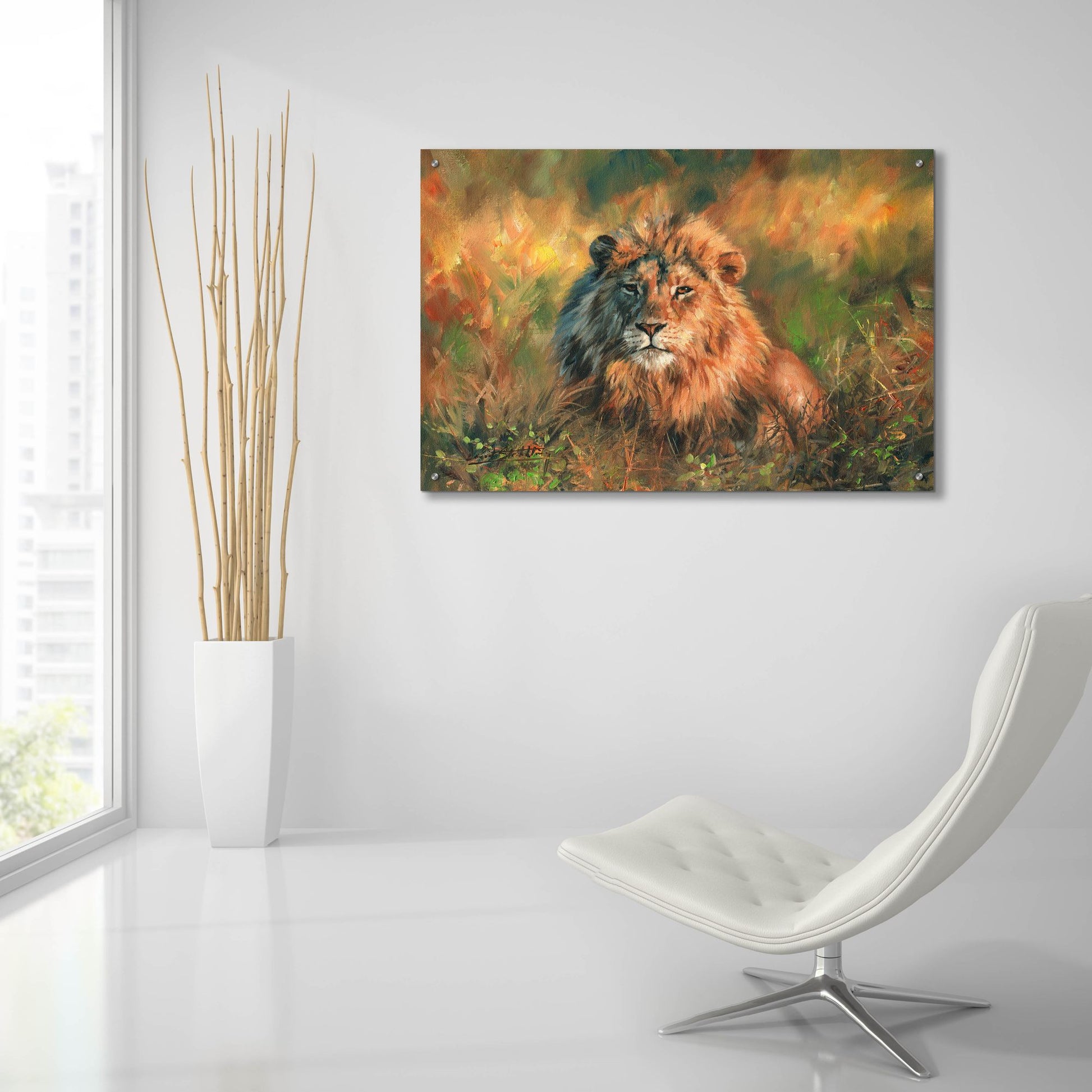 Epic Art 'Lion At Sunset2 by David Stribbling, Acrylic Glass Wall Art,36x24