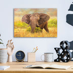 Epic Art 'Afternoon Snack2 by David Stribbling, Acrylic Glass Wall Art,16x12