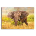 Epic Art 'Afternoon Snack2 by David Stribbling, Acrylic Glass Wall Art
