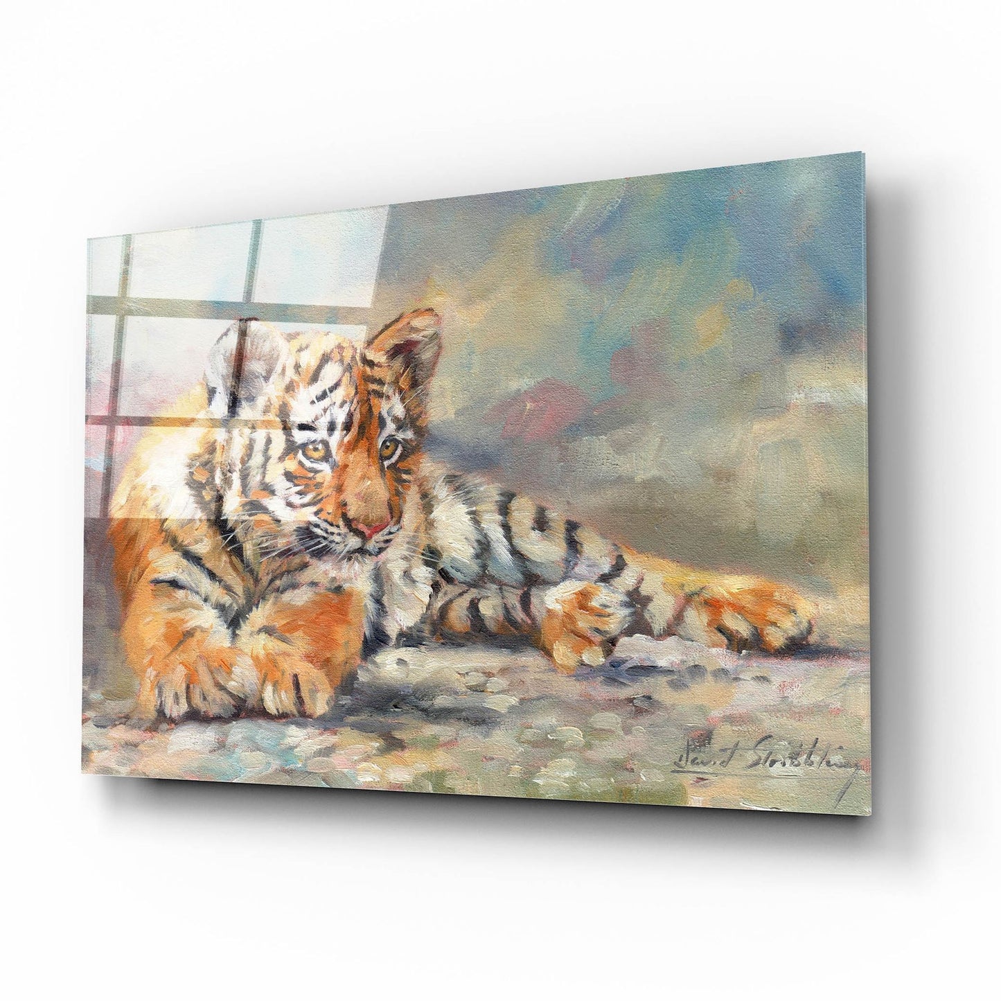 Epic Art 'Tiger Cub Lounging 2 by David Stribbling, Acrylic Glass Wall Art,16x12