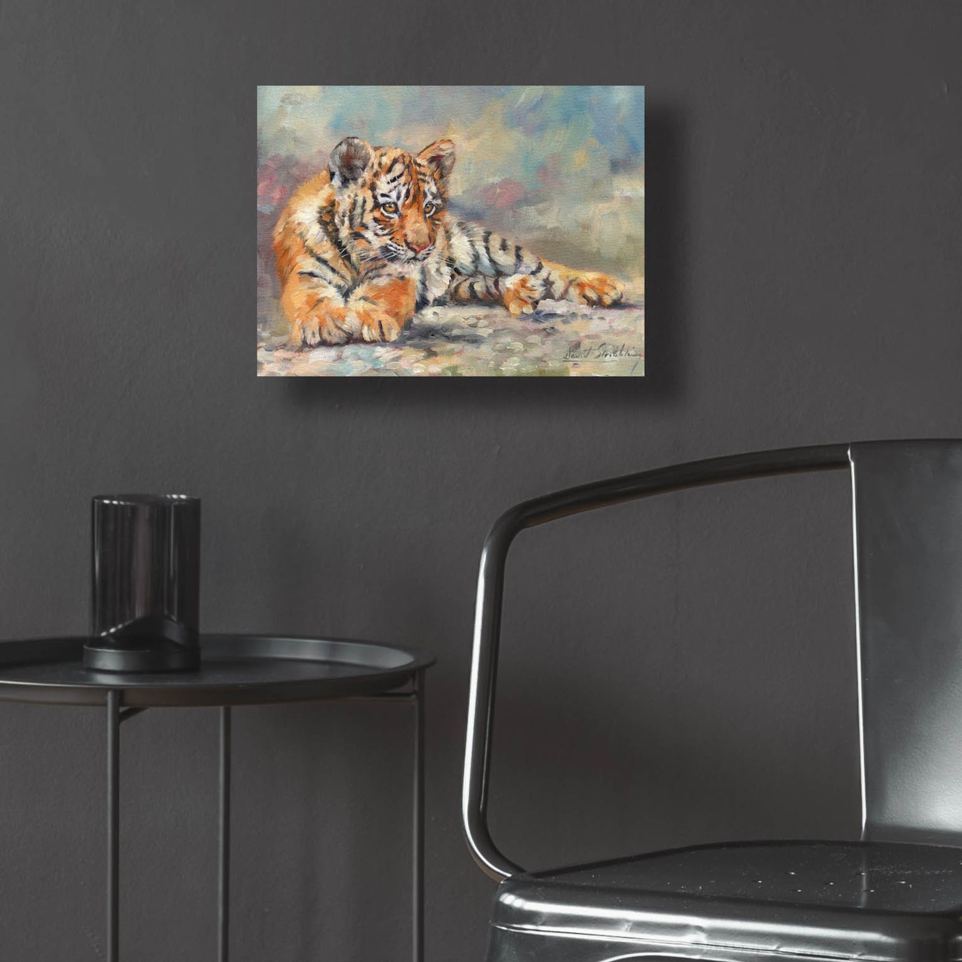 Epic Art 'Tiger Cub Lounging 2 by David Stribbling, Acrylic Glass Wall Art,16x12