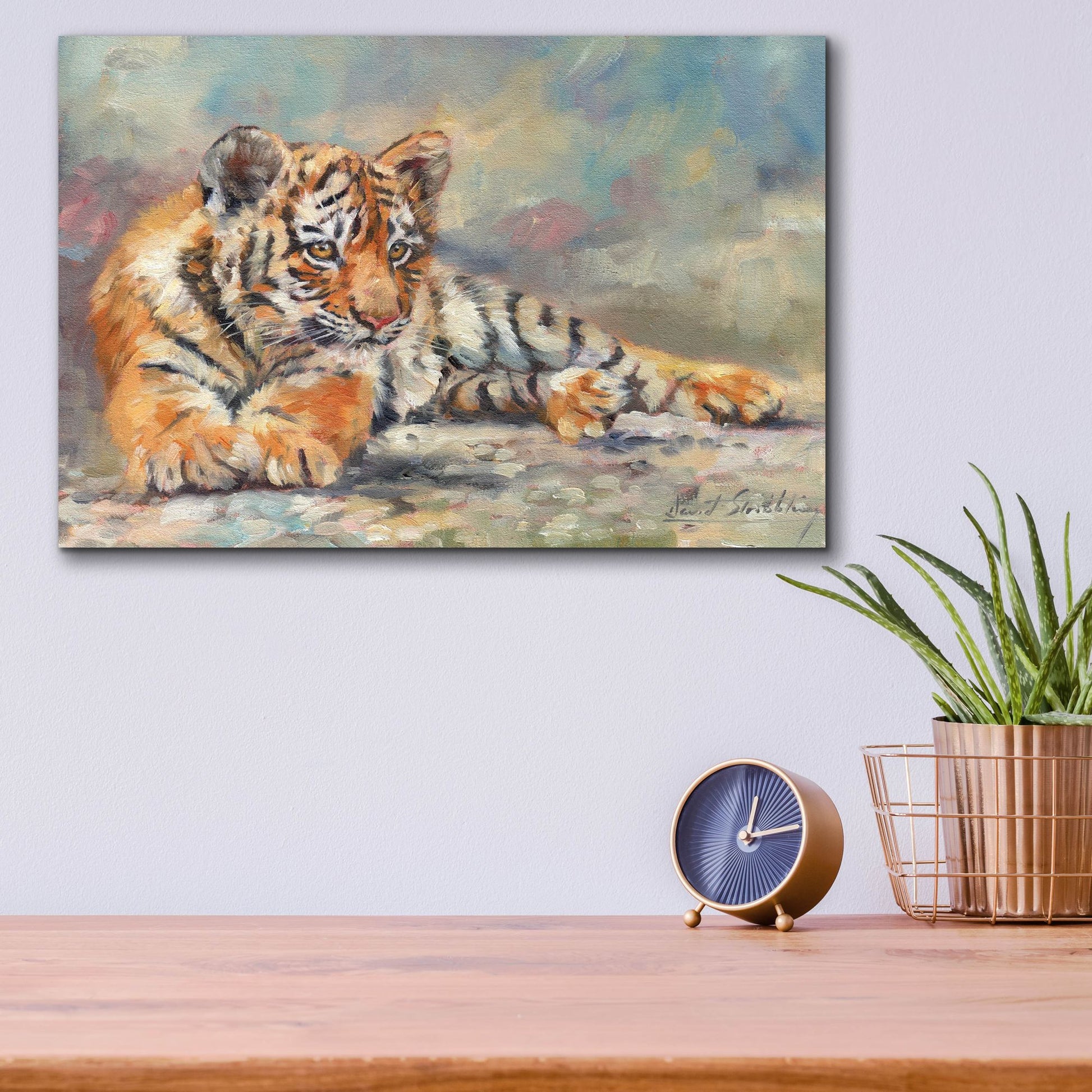 Epic Art 'Tiger Cub Lounging 2 by David Stribbling, Acrylic Glass Wall Art,16x12