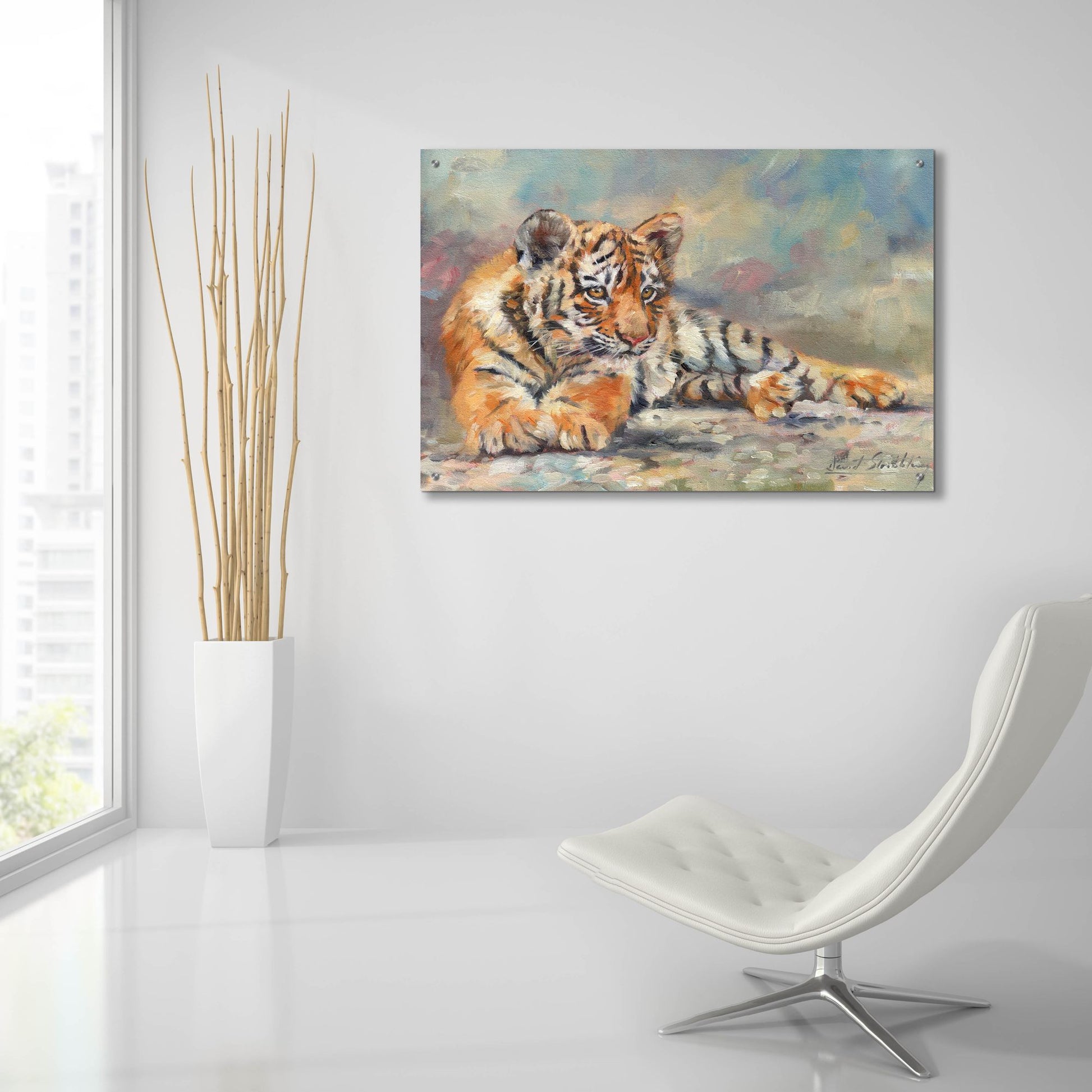 Epic Art 'Tiger Cub Lounging 2 by David Stribbling, Acrylic Glass Wall Art,36x24