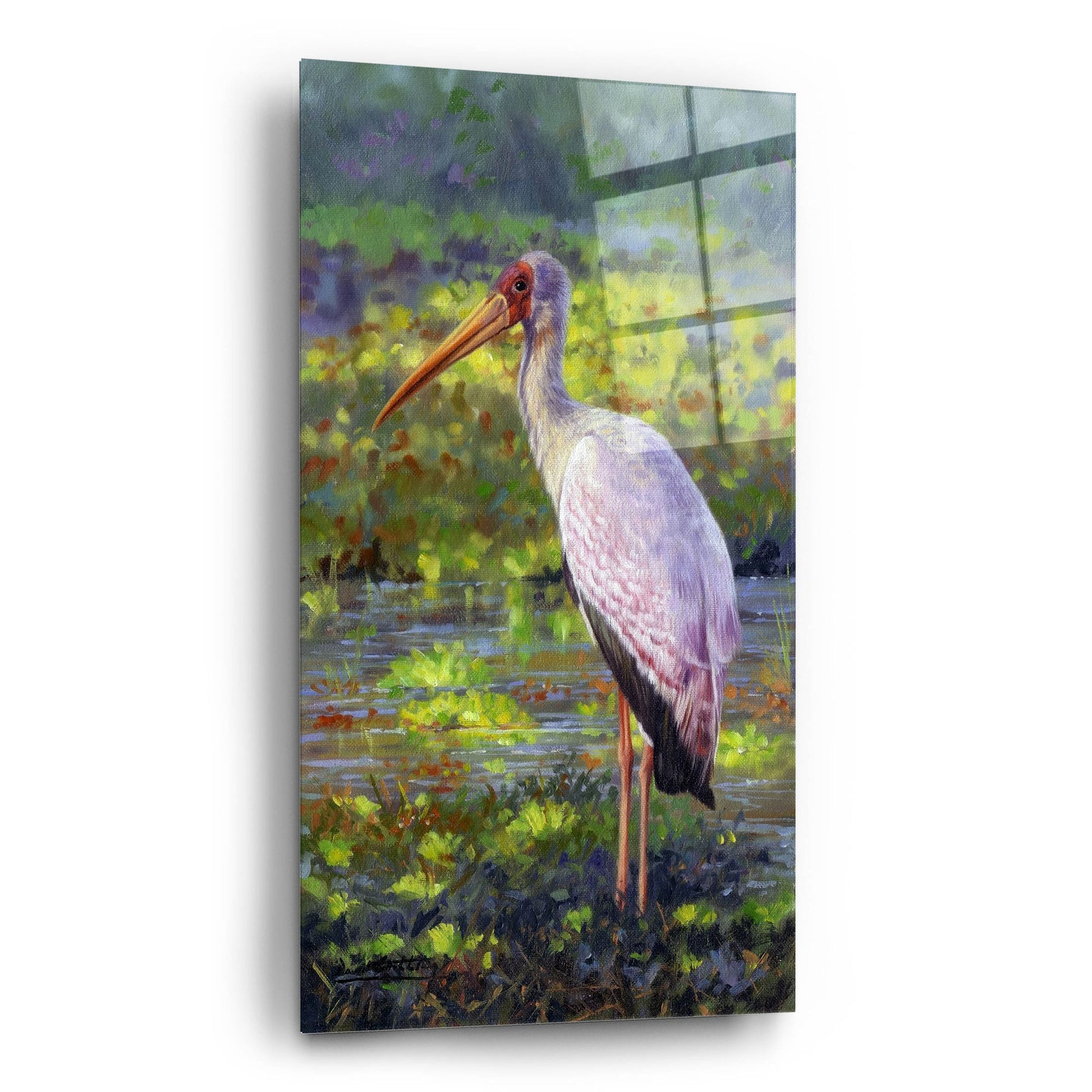 Epic Art 'Yellow Billed Stork2 by David Stribbling, Acrylic Glass Wall Art,12x24