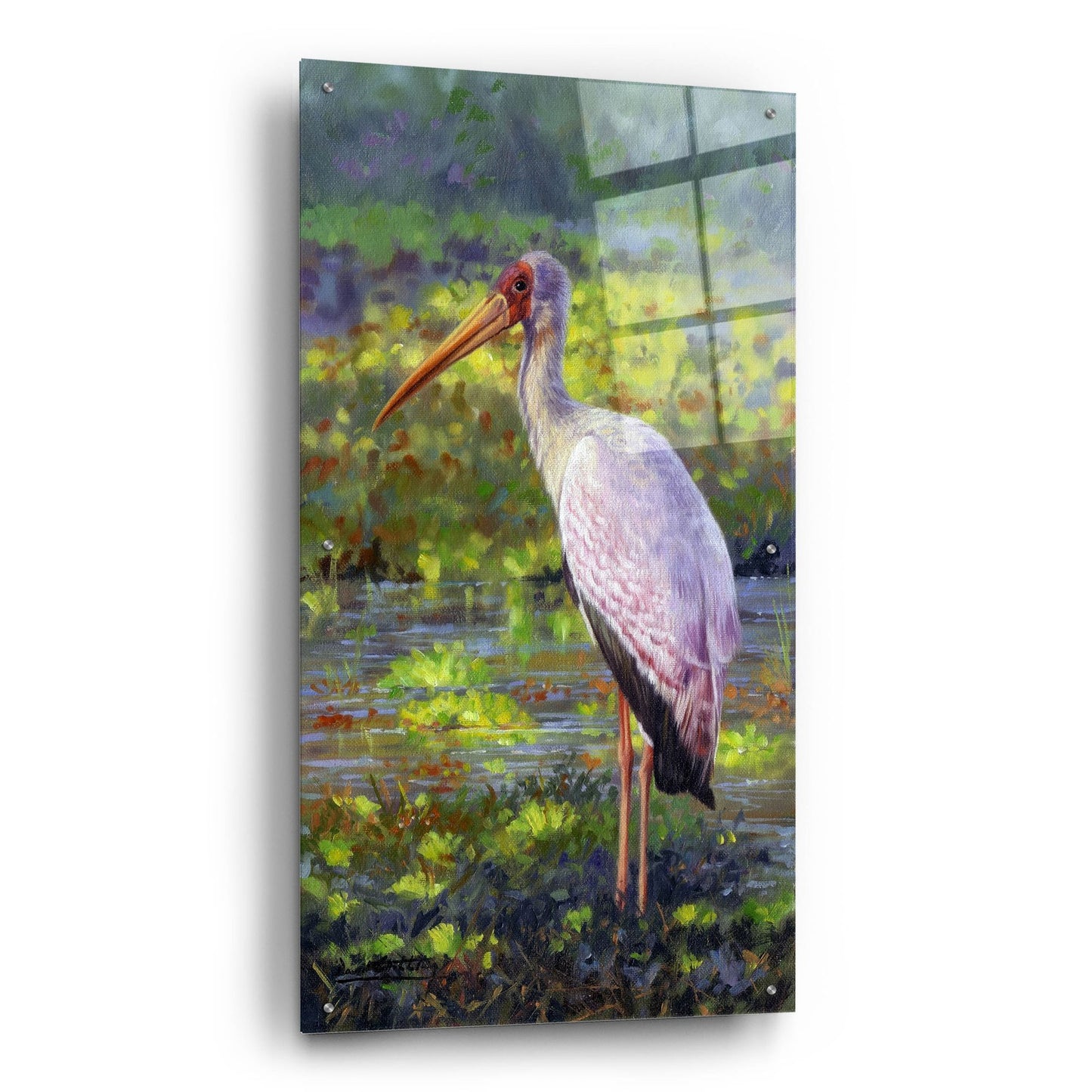 Epic Art 'Yellow Billed Stork2 by David Stribbling, Acrylic Glass Wall Art,24x48