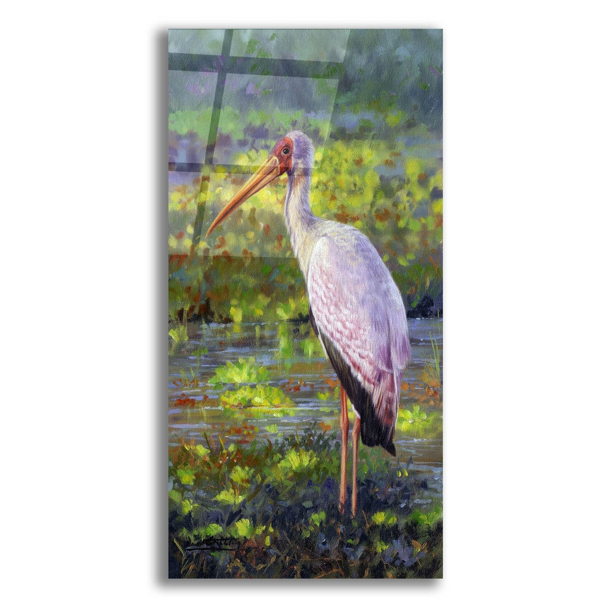 Epic Art 'Yellow Billed Stork2 by David Stribbling, Acrylic Glass Wall Art