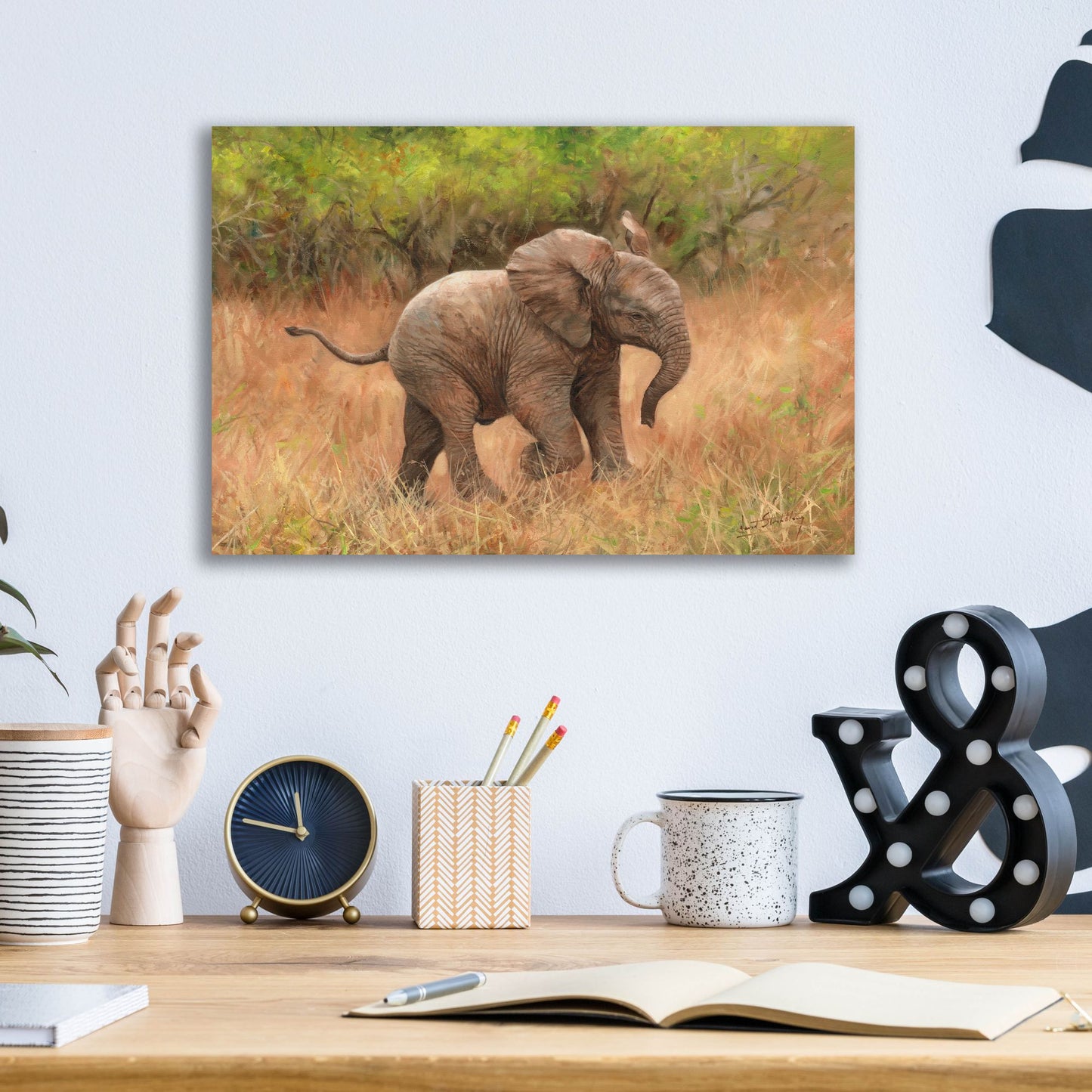 Epic Art 'Baby African Elephant2 by David Stribbling, Acrylic Glass Wall Art,16x12