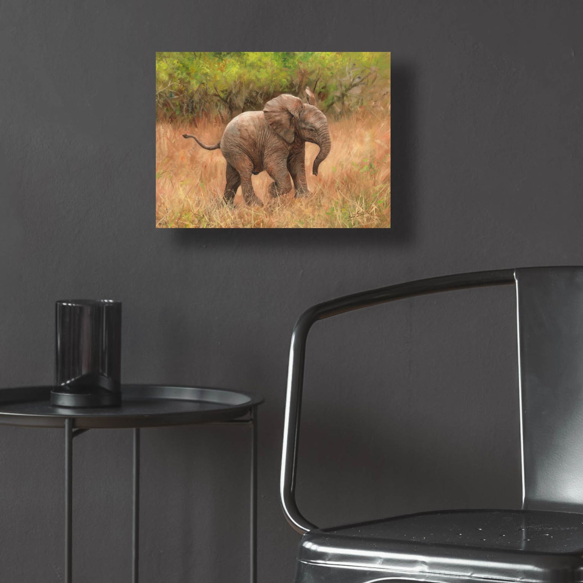 Epic Art 'Baby African Elephant2 by David Stribbling, Acrylic Glass Wall Art,16x12